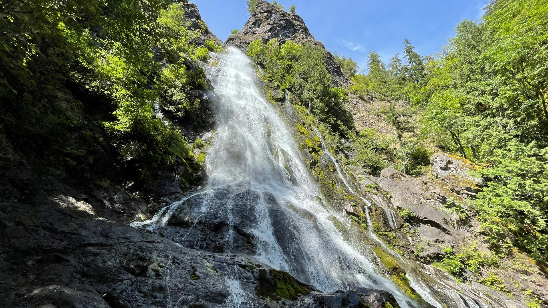 This waterfall on the Hood Canal is a big payoff for a short stroll. #k5evening