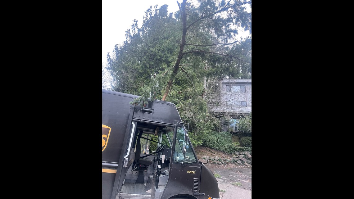 Winds calming after storm knocks out power, downs trees in western ...