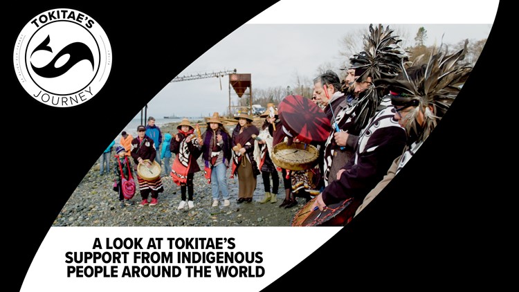 Indigenous communities worldwide throw their support behind Tokitae's return to Washington