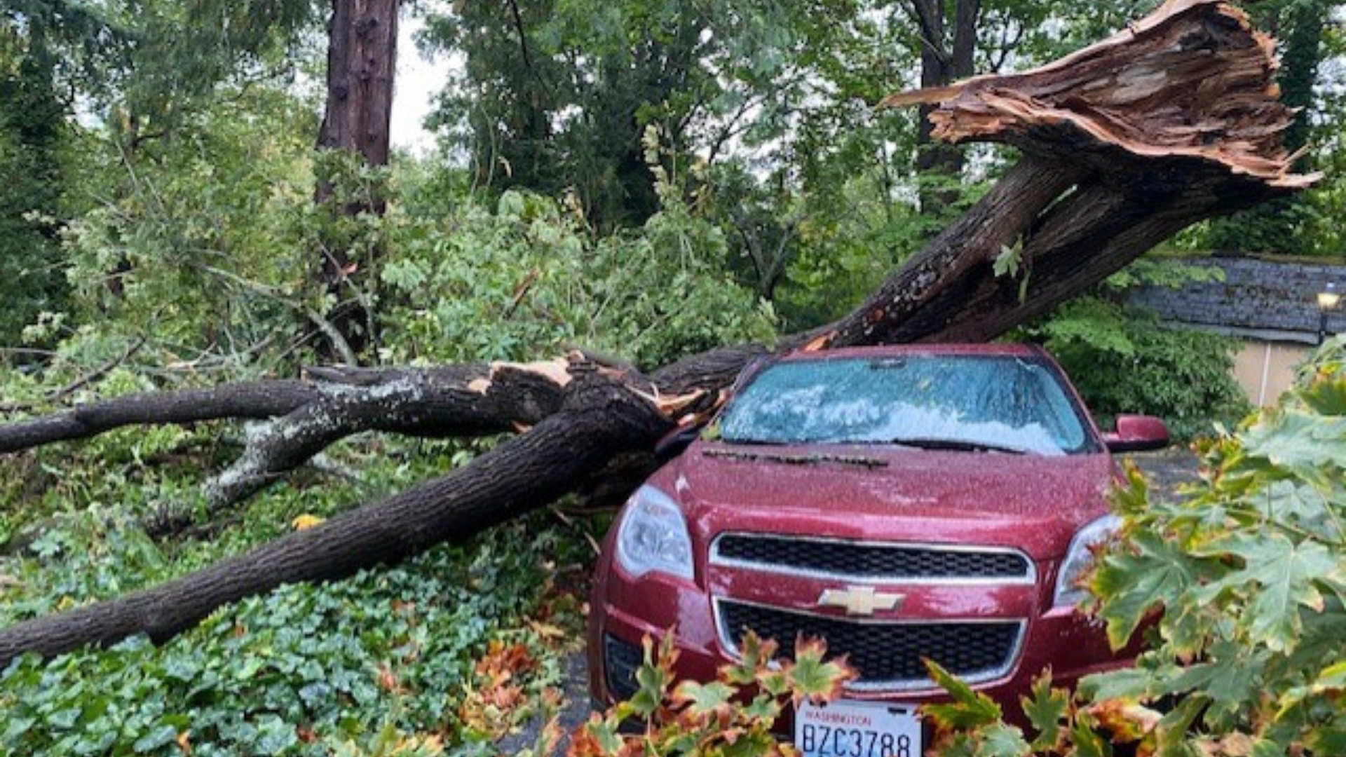 Western Washington storms cause power outages | Check your area | king5.com