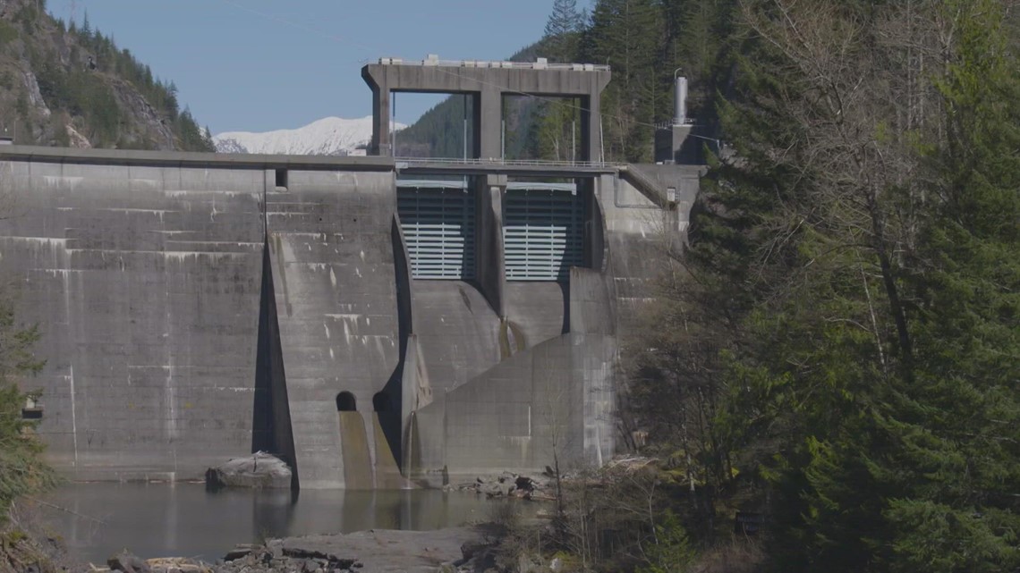 Seattle spent years misleading the public about Skagit River salmon. Now it will pay $1 billion for fish passage