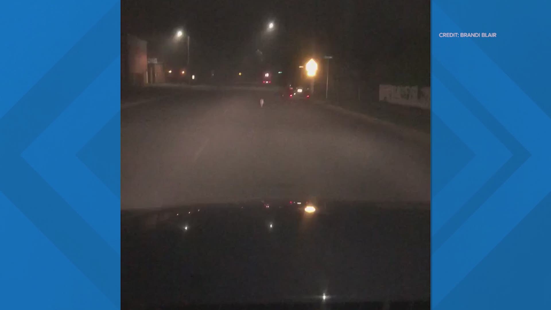 Video from Brandi Blair captures a kangaroo hopping through the streets after a baby kangaroo went missing near Monroe.