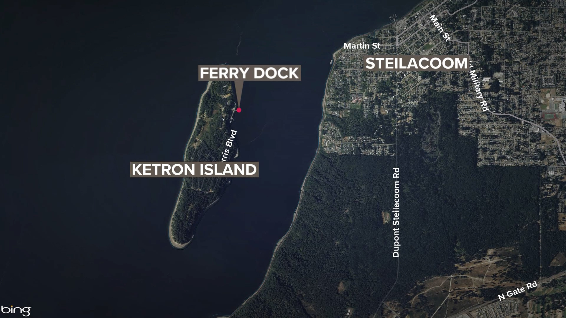 A man allegedly stabbed his girlfriend to death and then drove off the ferry dock at Ketron Island near Steilacoom