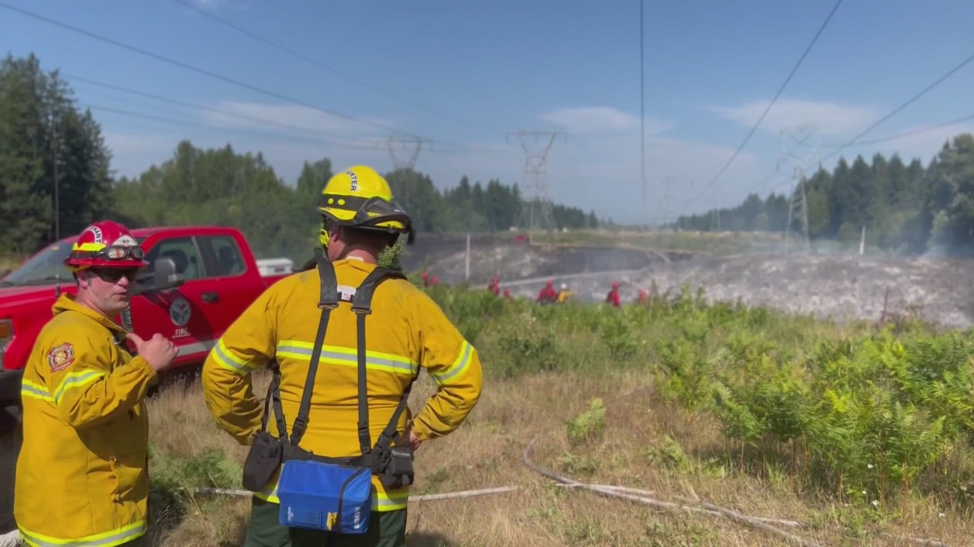As a precaution, electricity was shut to approximately 500 homes from Maple Valley to Olympia.