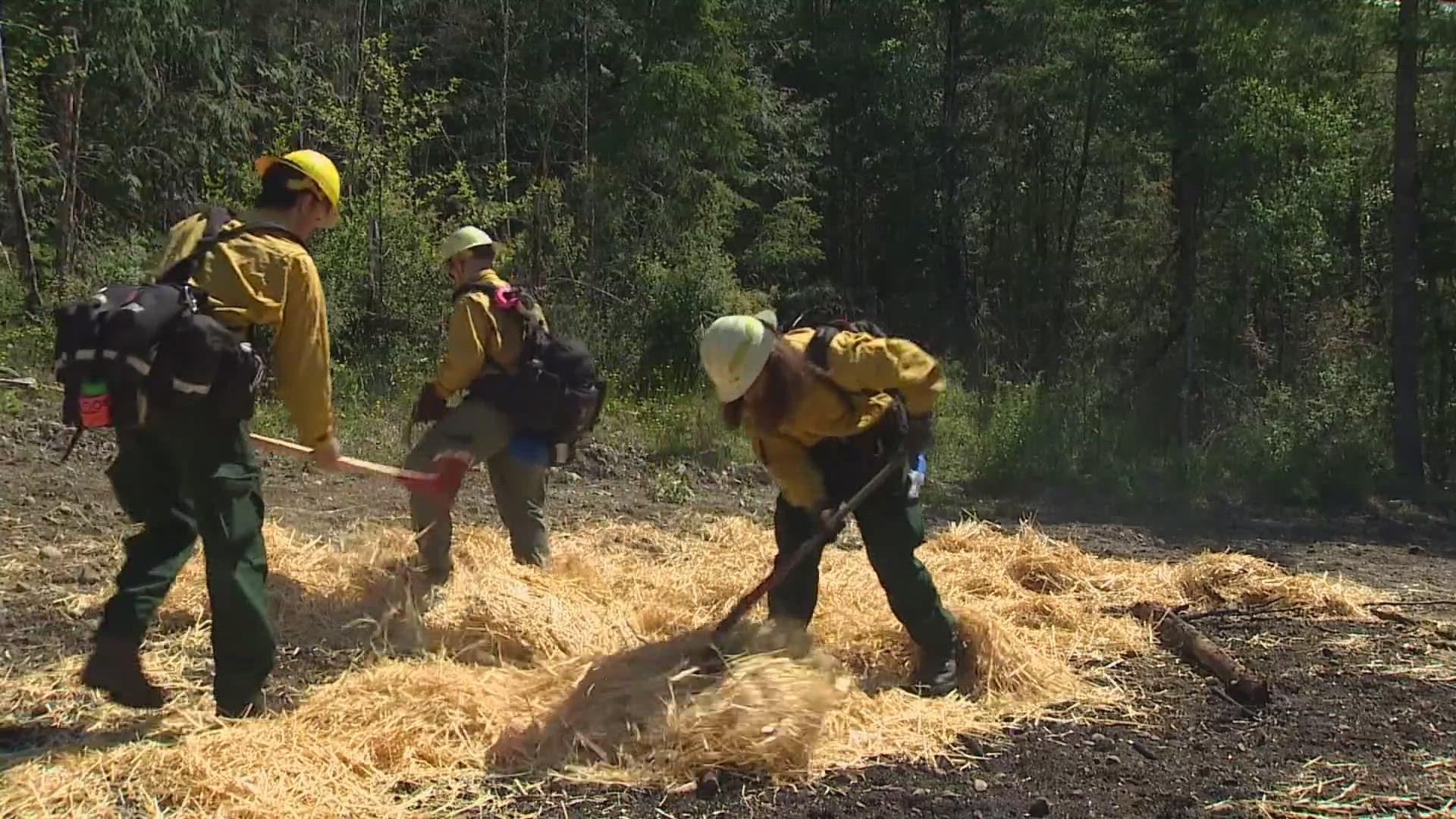 This is the first year spring training is being held at the North Bend Fire Academy site. Students camp for 10 days and undergo extensive hands-on training.