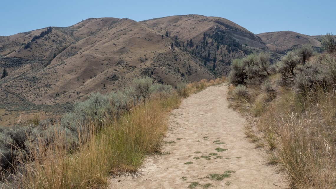 Drought persists for more than half of Washington state - Vimarsana News