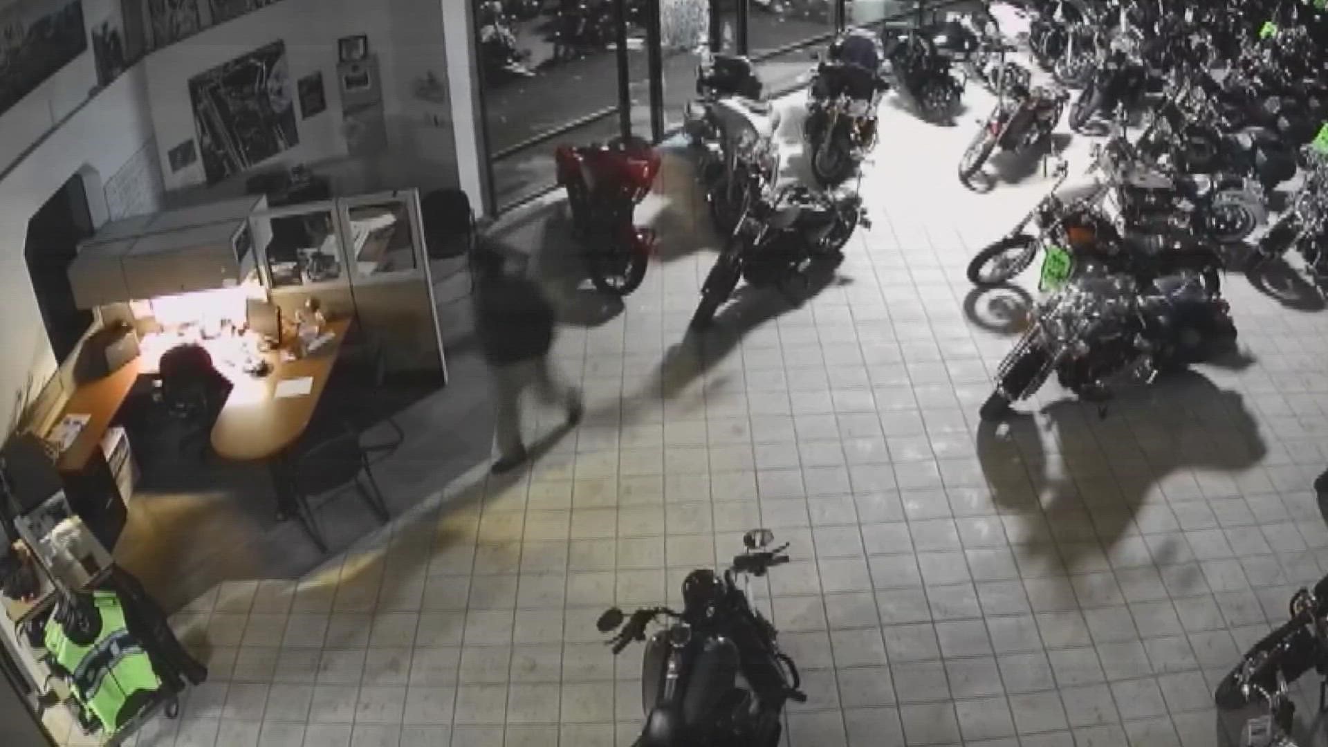 Police in Fife arrested a man who had repeatedly broken into a Harley-Davidson dealer on East Pacific Highway