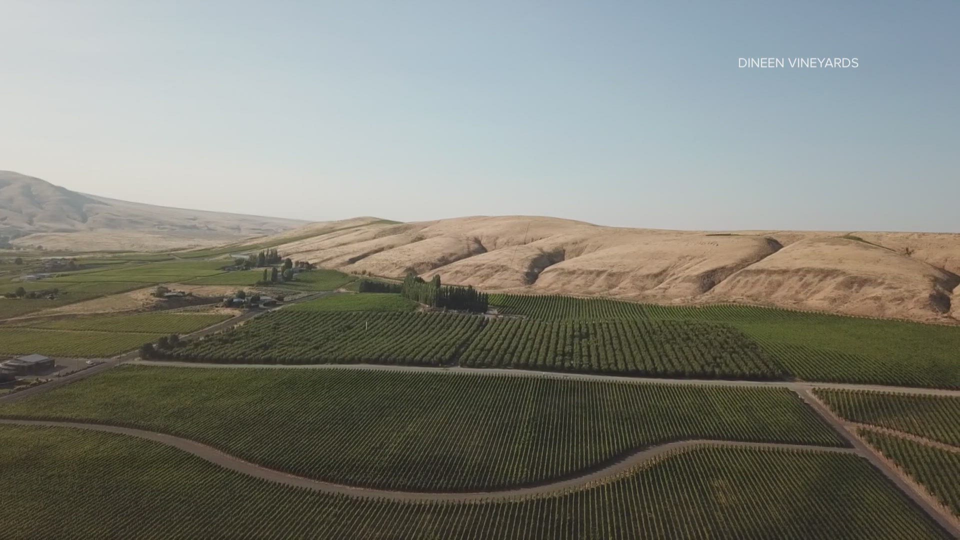 Dozens of vineyards are Sustainable WA certified or in the application process. Viticulture practices and soil management are among the areas audited.
