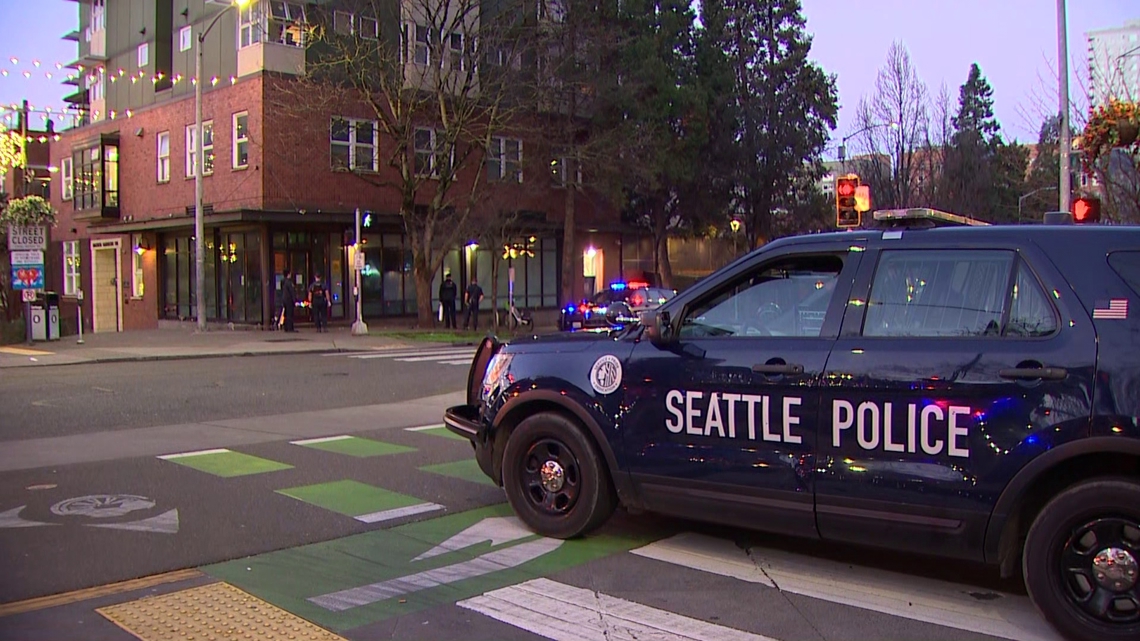 Seattle police seek suspect after woman stabbed in Belltown alley
