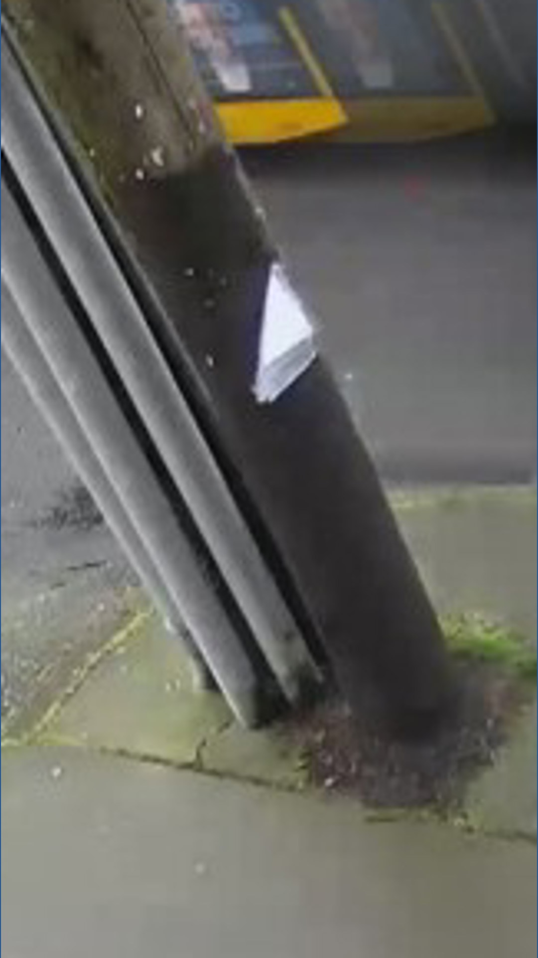 King County Metro bus crashes into cars in Greenwood | king5.com