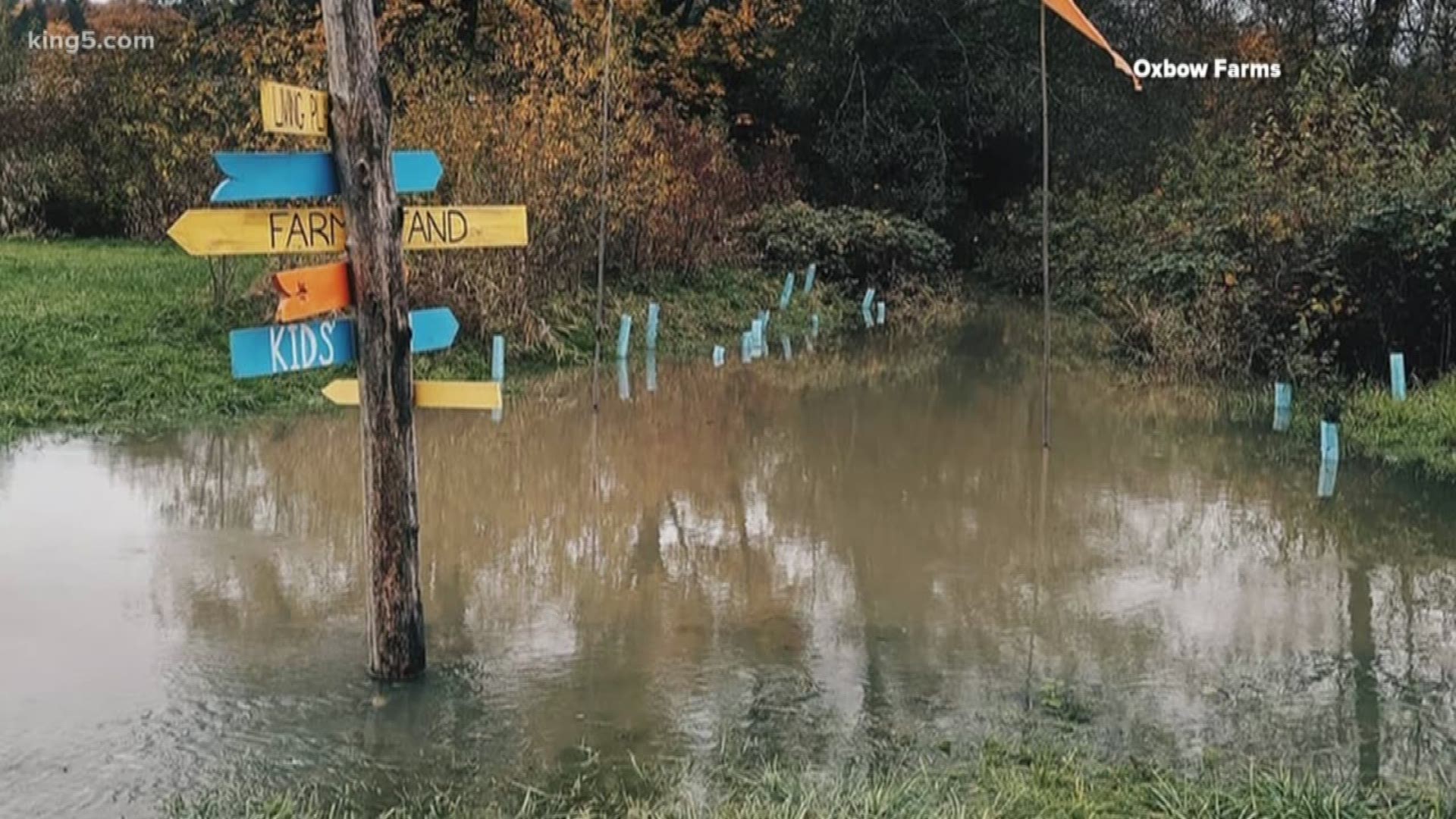 Devastating flooding could have a major impact on local farmers and the economy. It's pumpkin season, and this time of the year is like Black Friday for farmers.