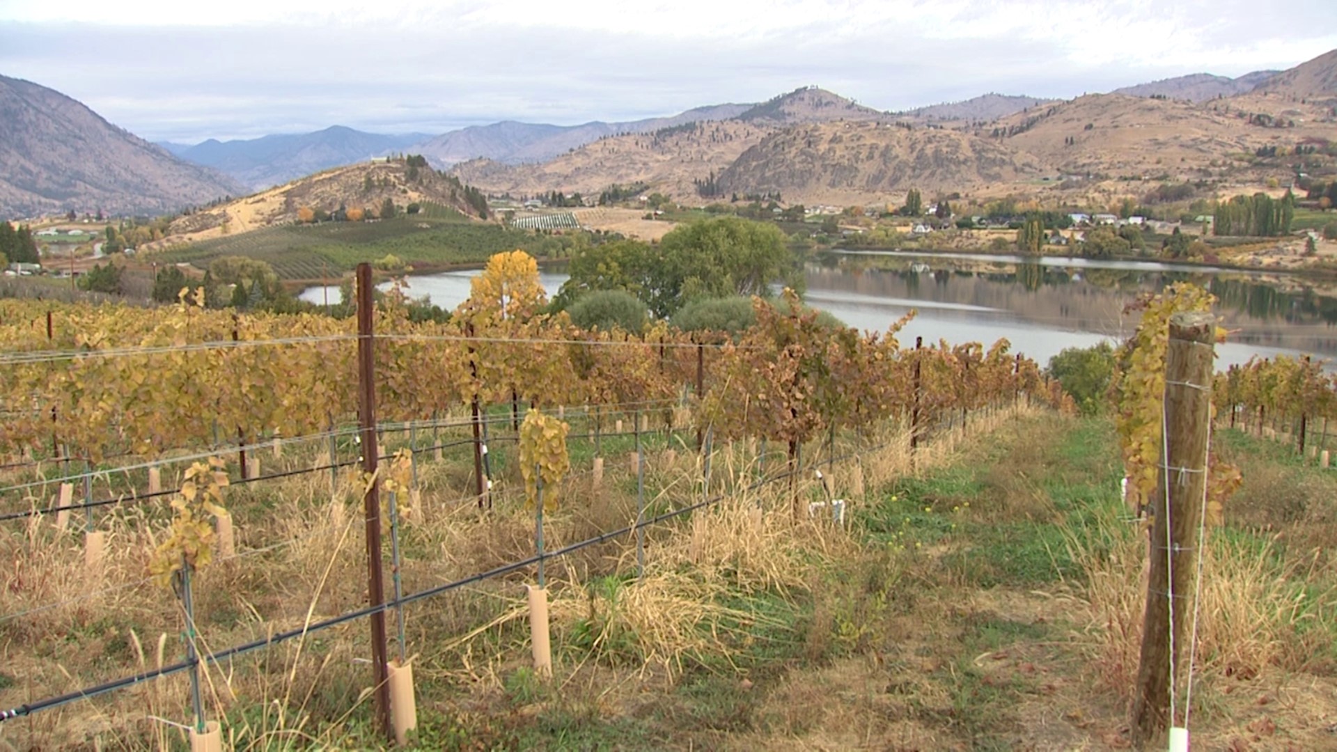 Experience the magic of agritourism at this Manson farm. Sponsored by Lake Chelan Chamber of Commerce