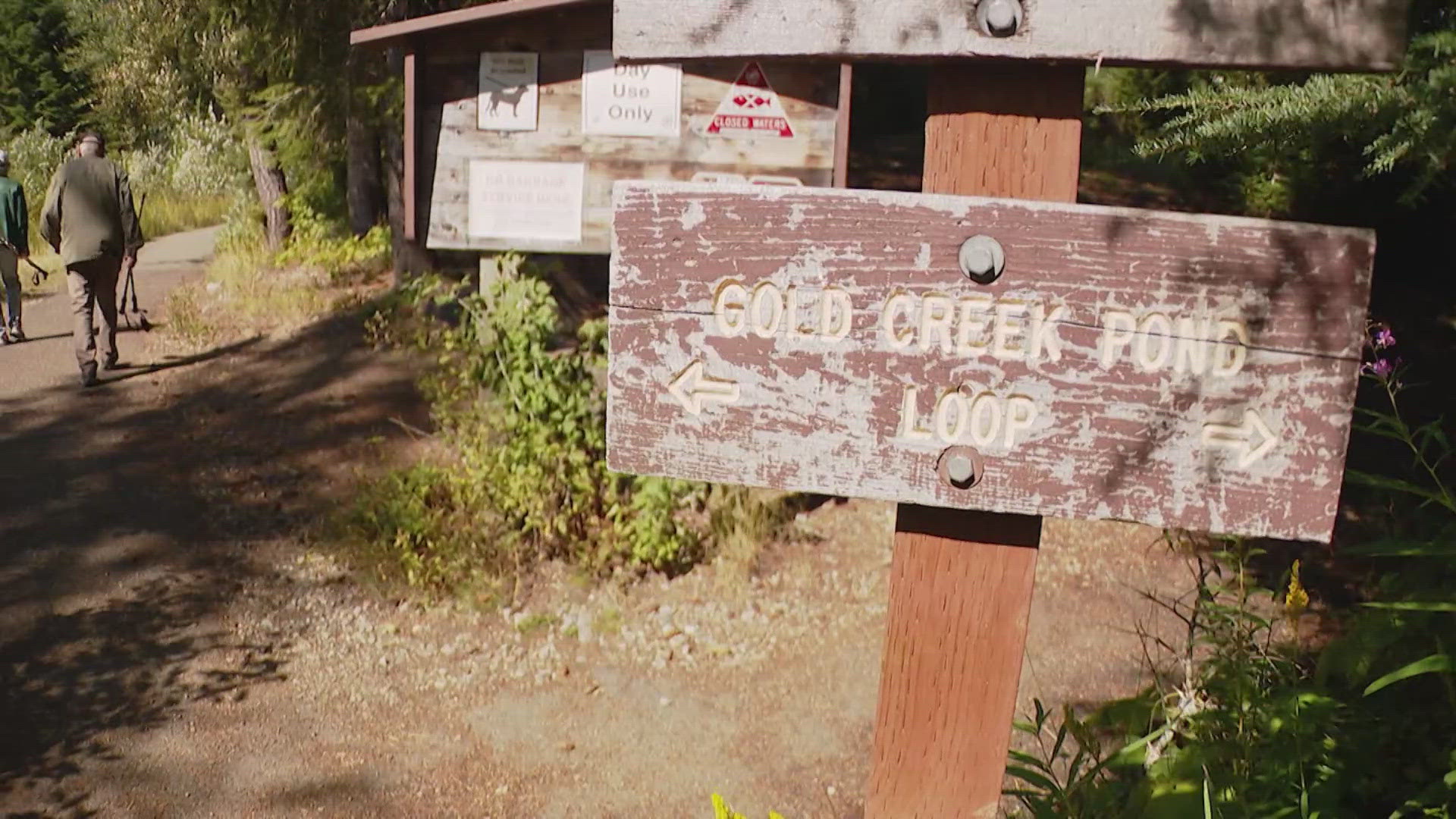 The goal of the Gold Creek Valley Restoration Project is to save a threatened fish species, but some locals are concerned about the collateral impacts.