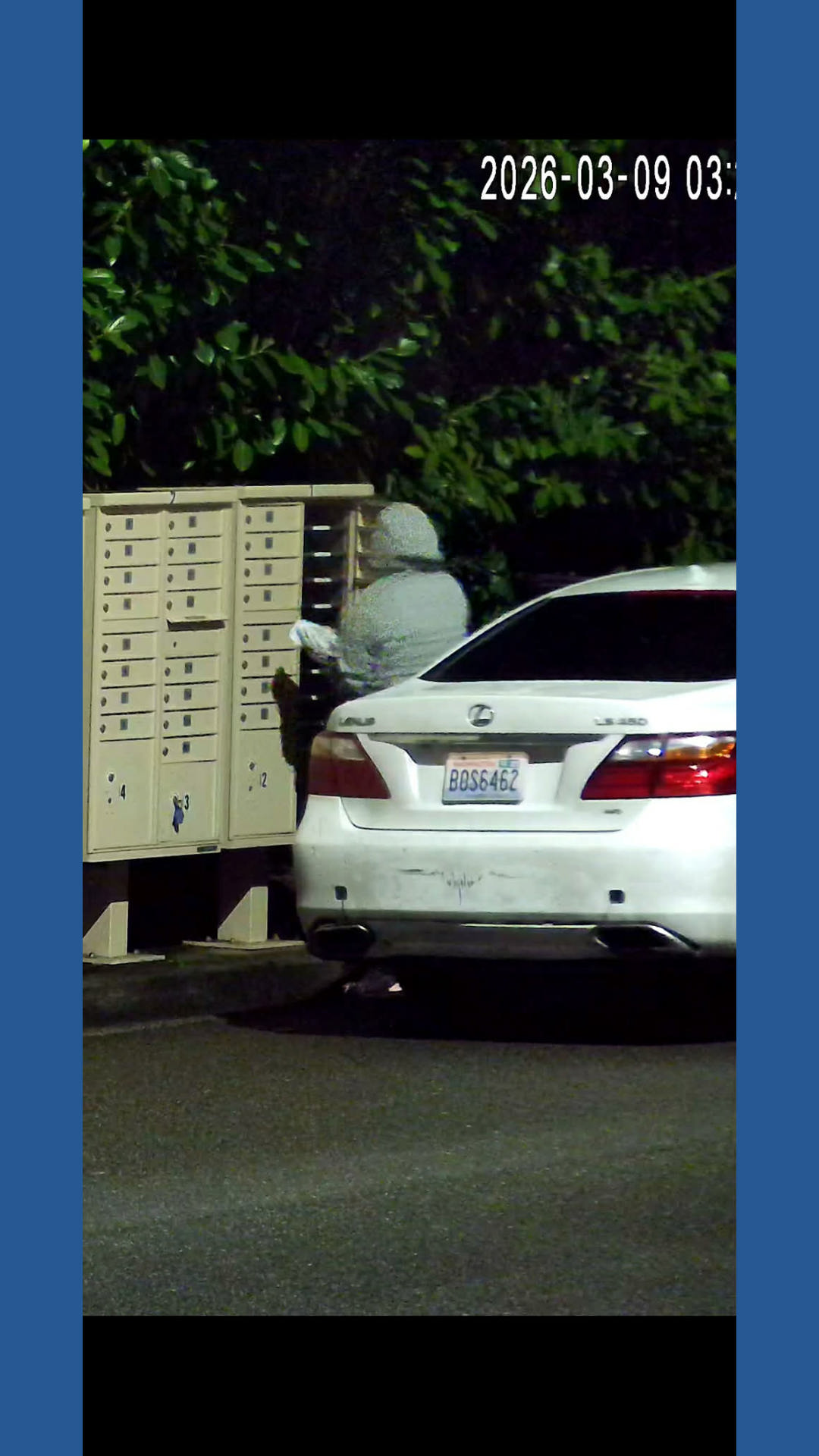 Mail Box Hit Caught on camera: Mailbox thieves hit neighborhoods | king5.com