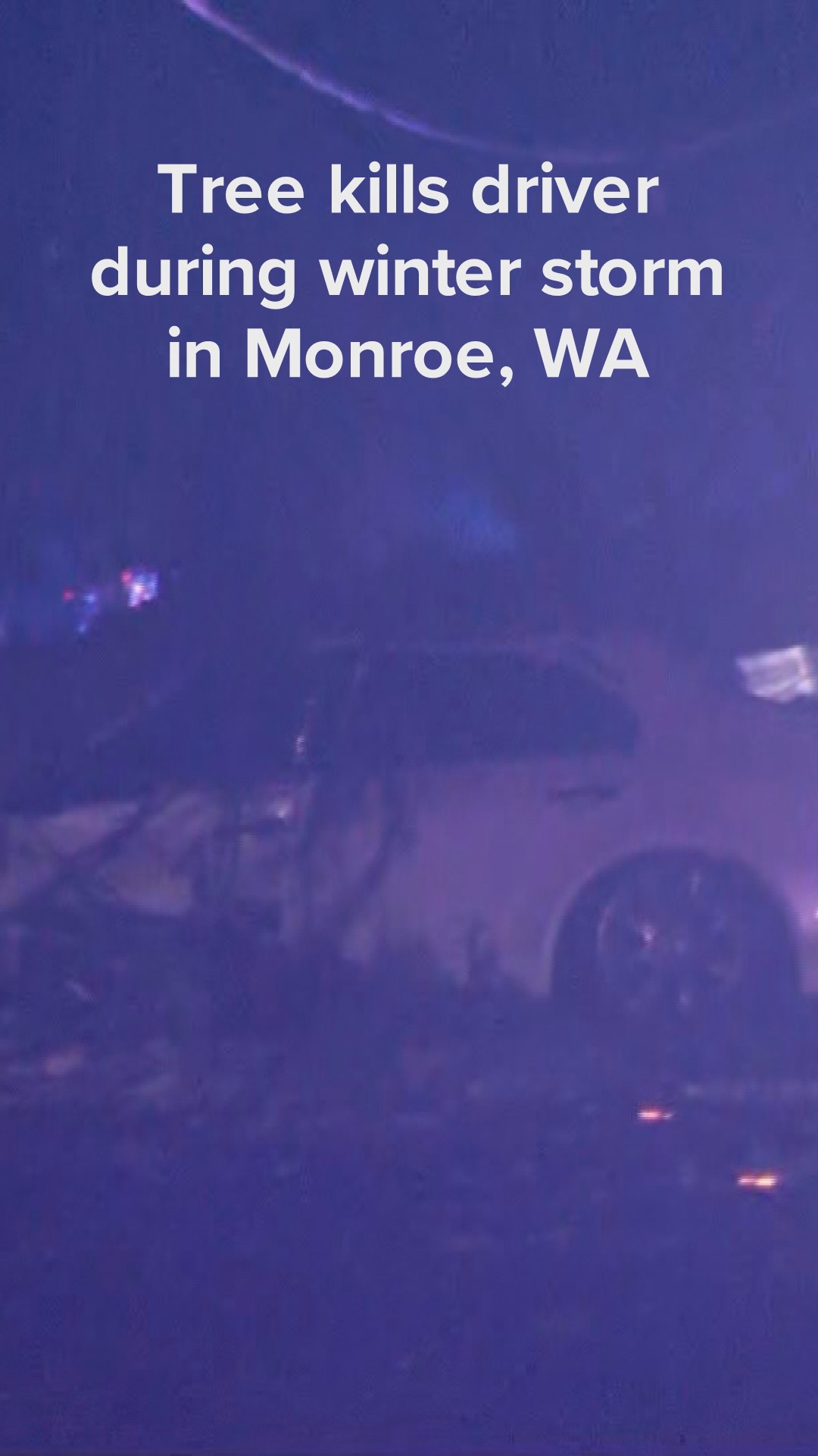 Driver killed after tree falls on car in Monroe | king5.com