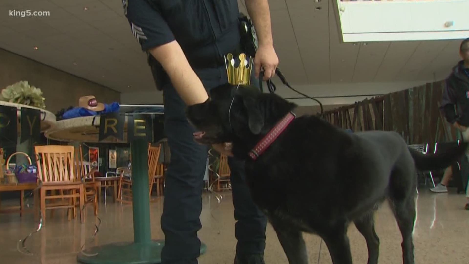 K9 Milo, a explosive detection dog, was honored Wednesday with a retirement party.