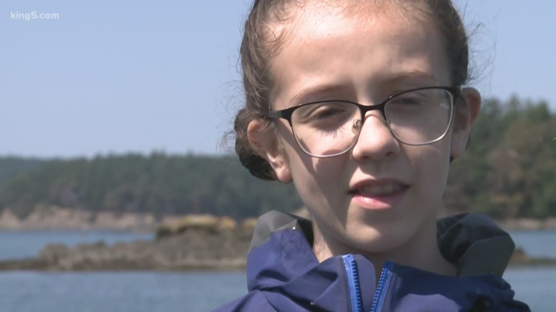 As the endangered Southern Resident orcas struggle to survive, they're drawing experts from all over the state. Now a child is dedicating her life to save them. KING 5's Alison Morrow reports.