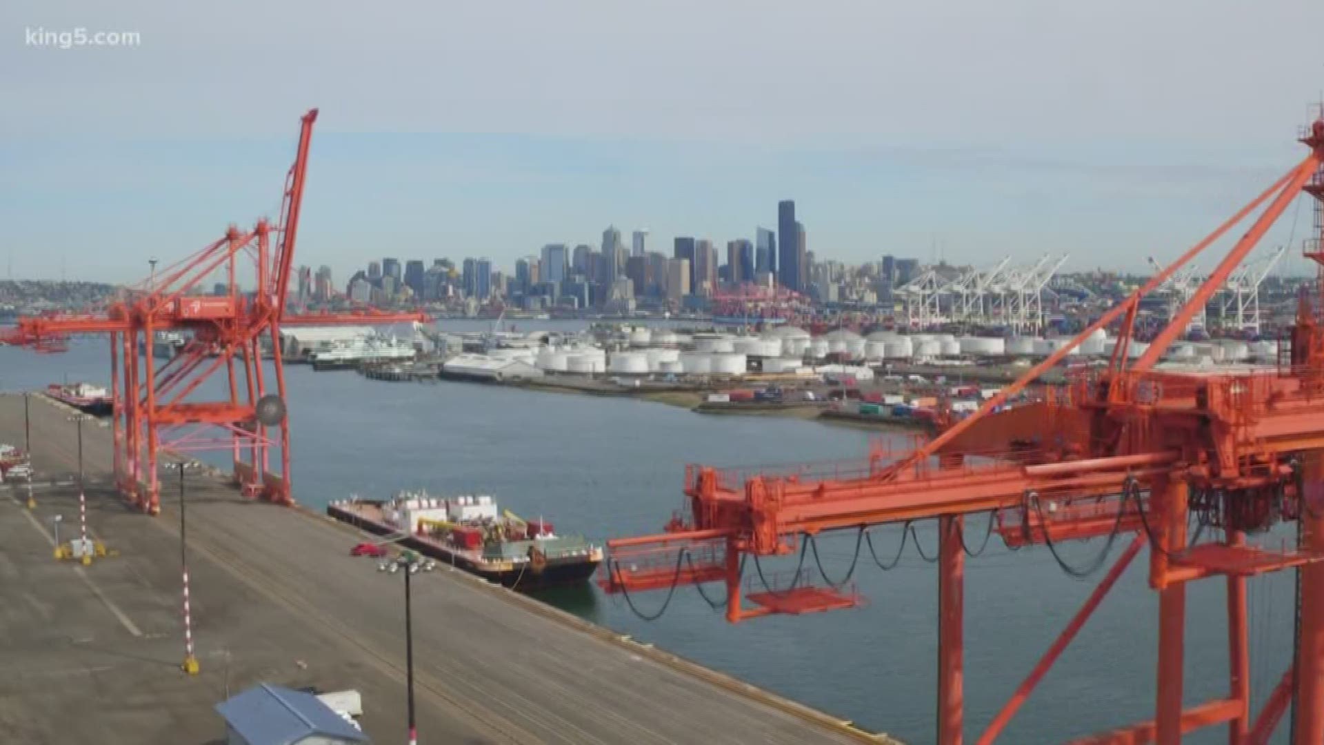 A more than half-billion dollar renovation is coming to Terminal 5 at the Port of Seattle. See how more port activity, traffic, and noise could impact West Seattle. KING 5's Chris Daniels reports.