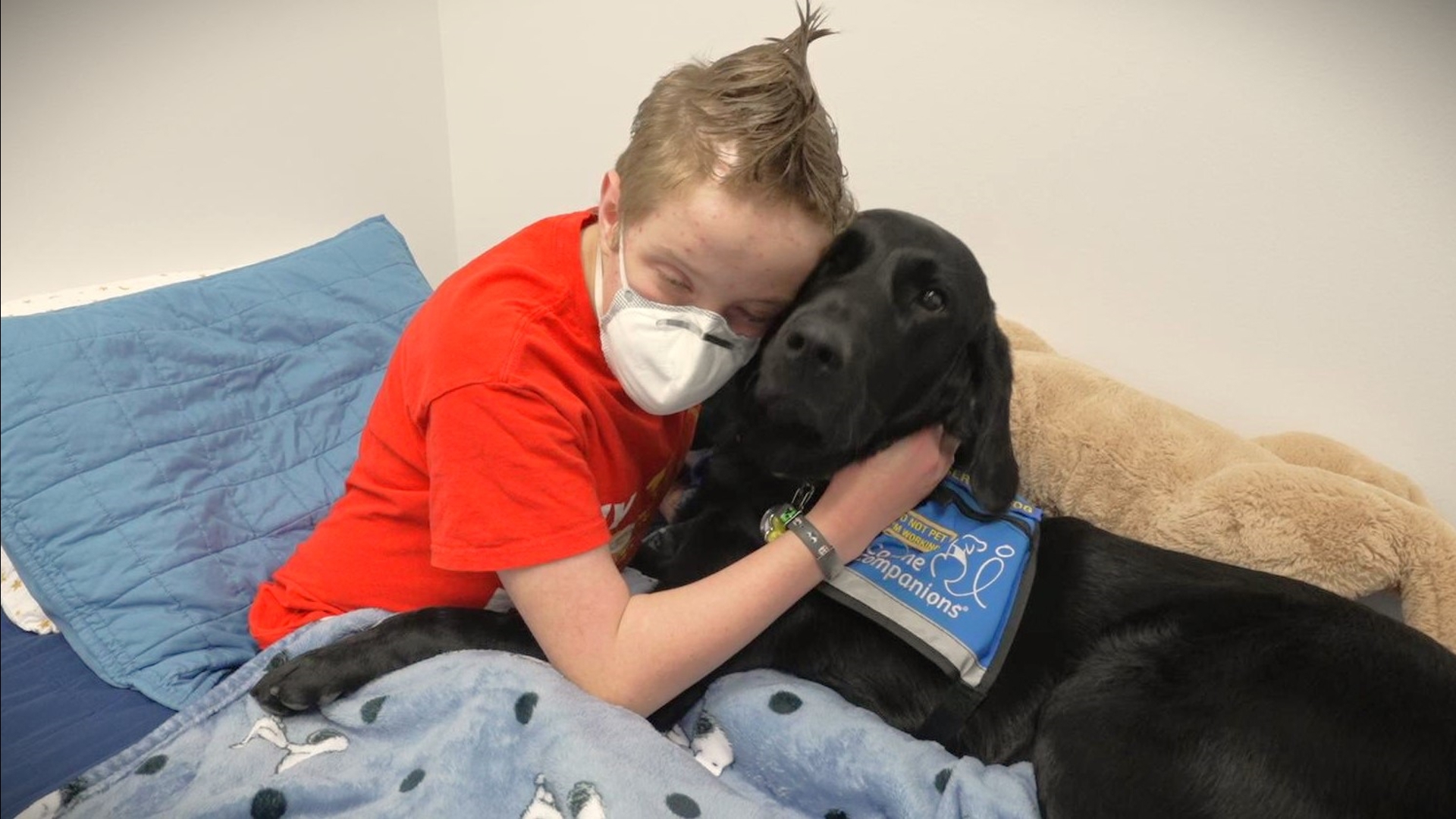 Canine Companions pairs dogs with the people who need them. #k5evening