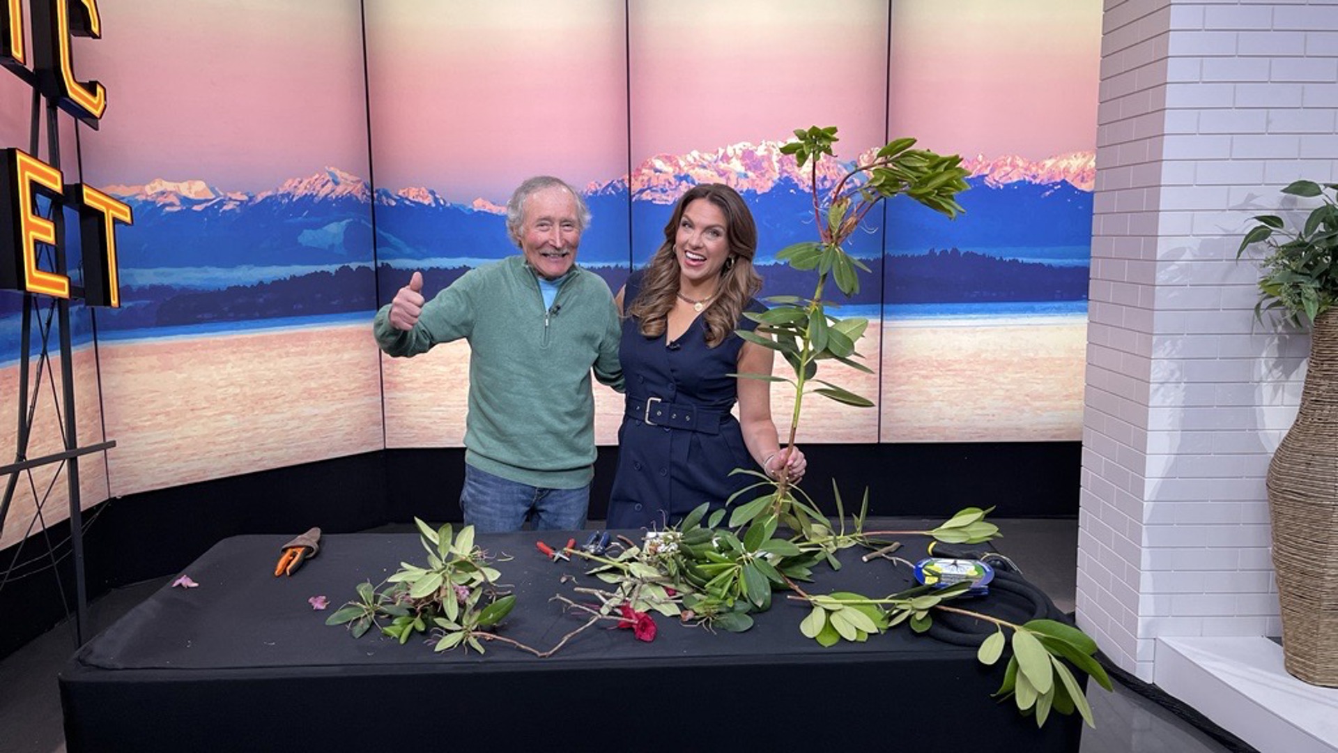 Master Gardener Ciscoe Morris says prune your Rhododendrons a few weeks after flowering is done. #newdaynw