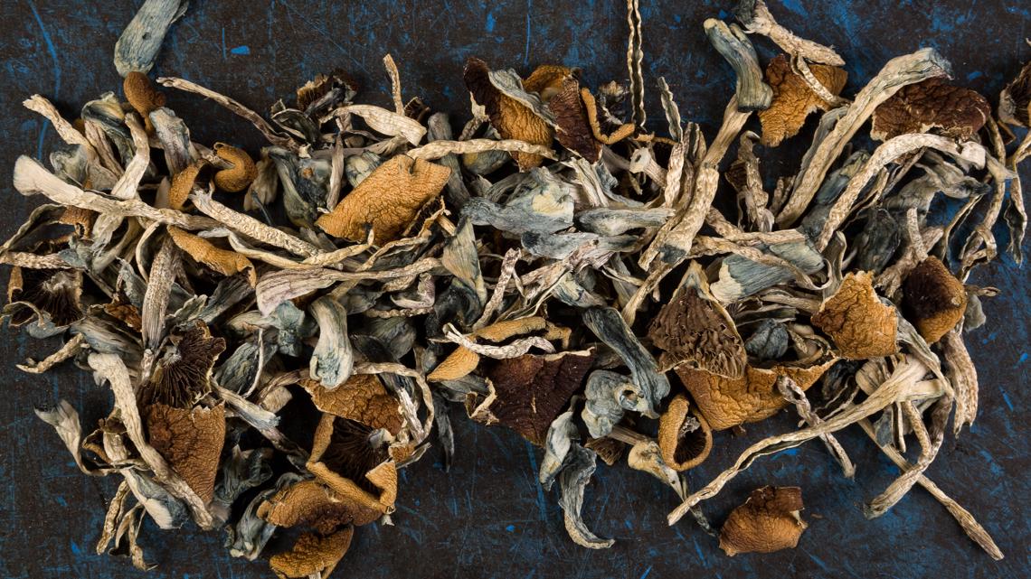 King County backs research, low enforcement of psychedelics as region rethinks approach