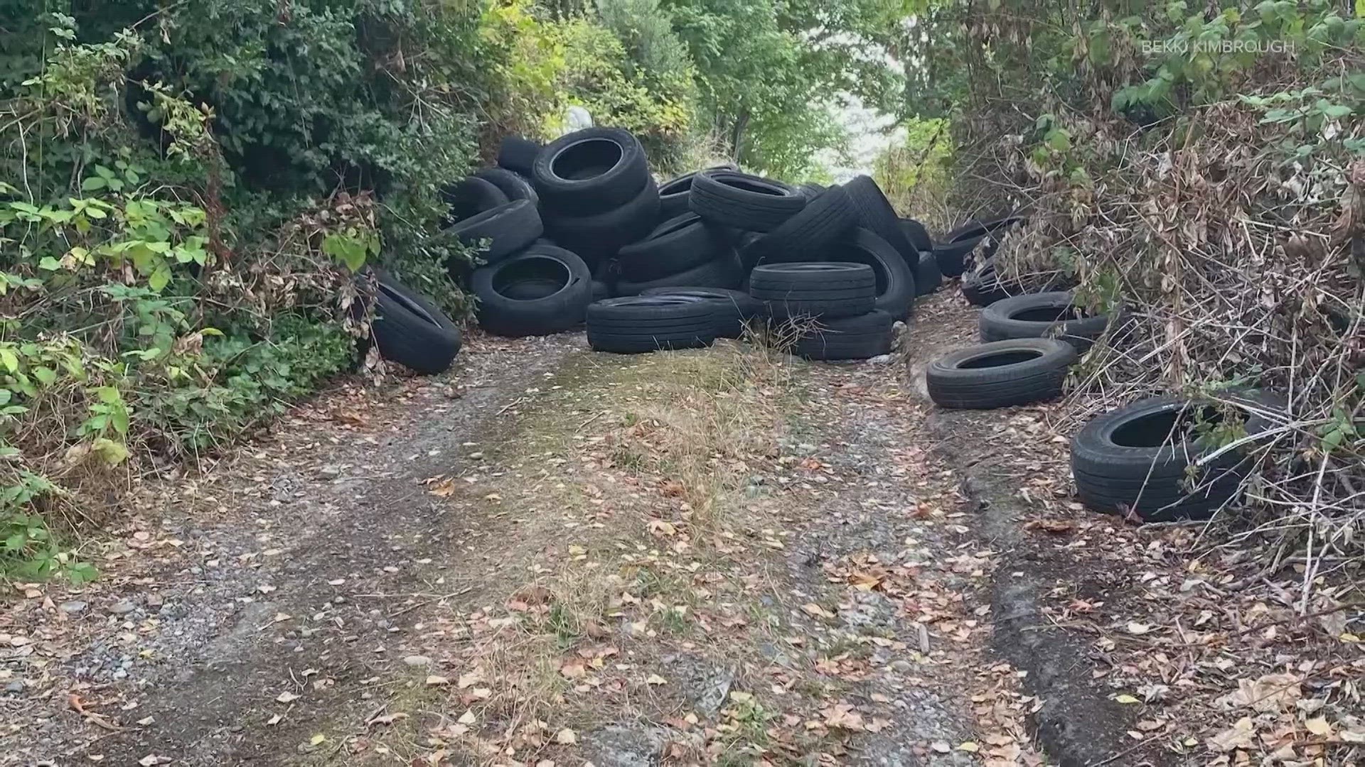 Seattle Public Utilities has collected and disposed of over 2,400 tires this month. There's still hundreds waiting to be removed.