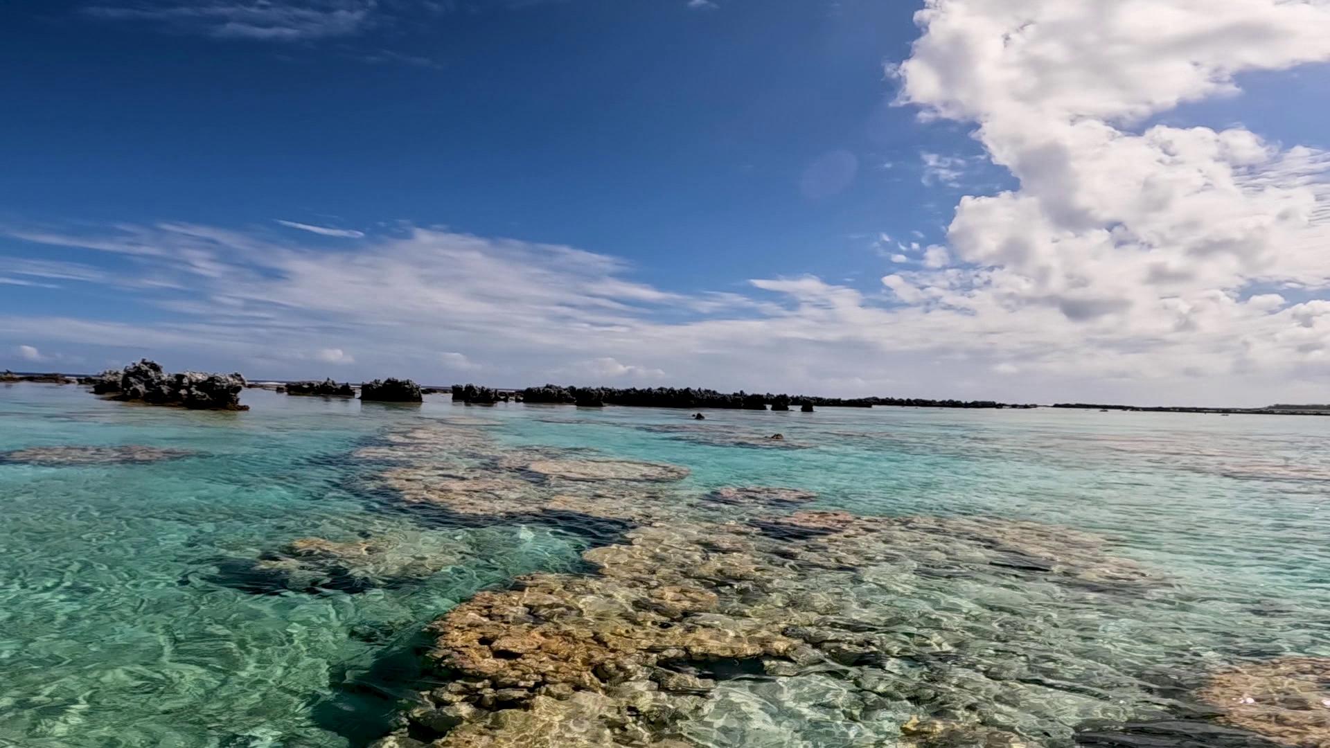 Rangiroa has everything from coral gardens and fossilized reefs to giant clams and a freeway of sea life. Sponsored by Air Tahiti Nui.