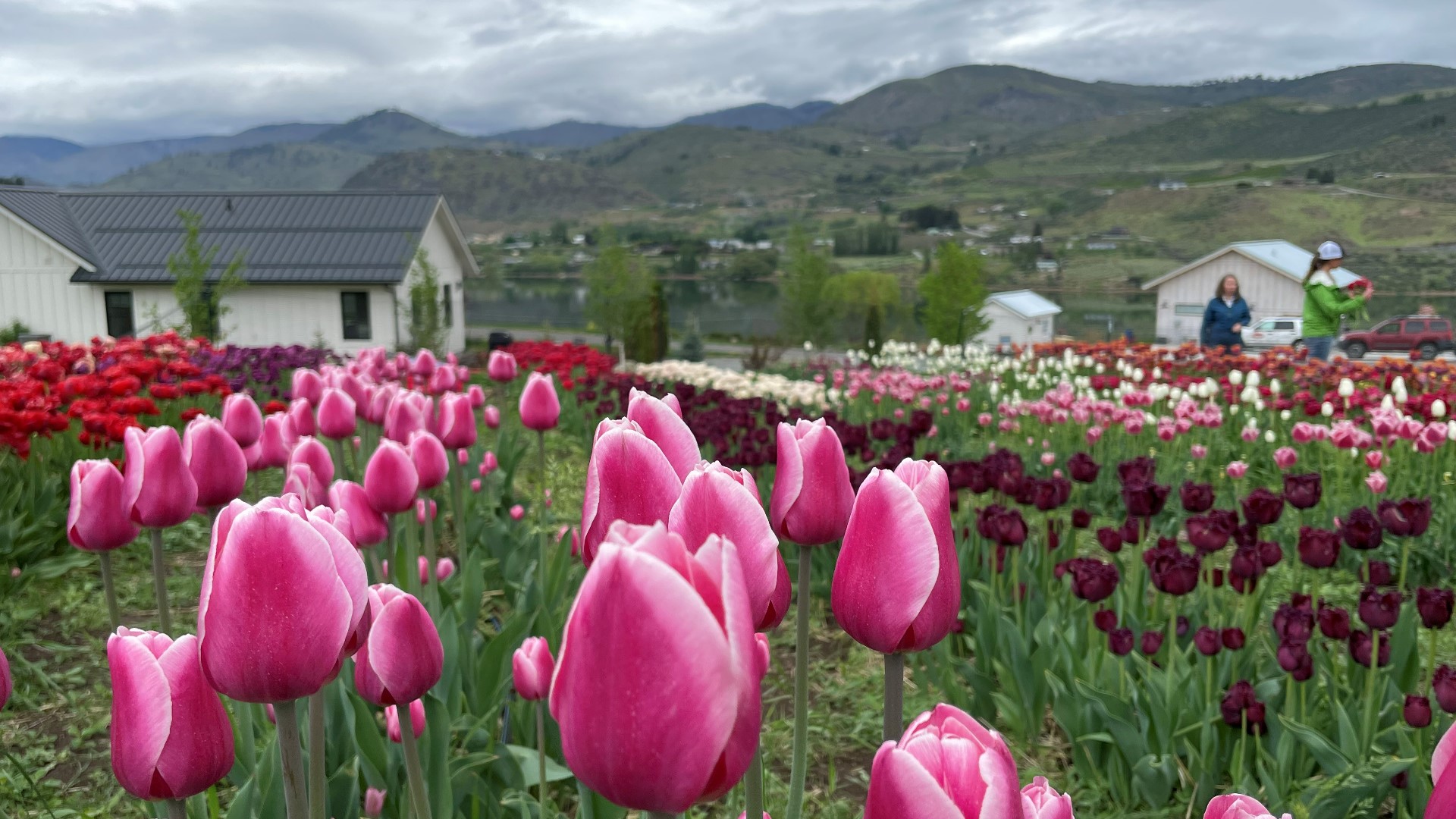 From blossoms to beaches, discover this friendly community. Sponsored by Visit Lake Chelan.