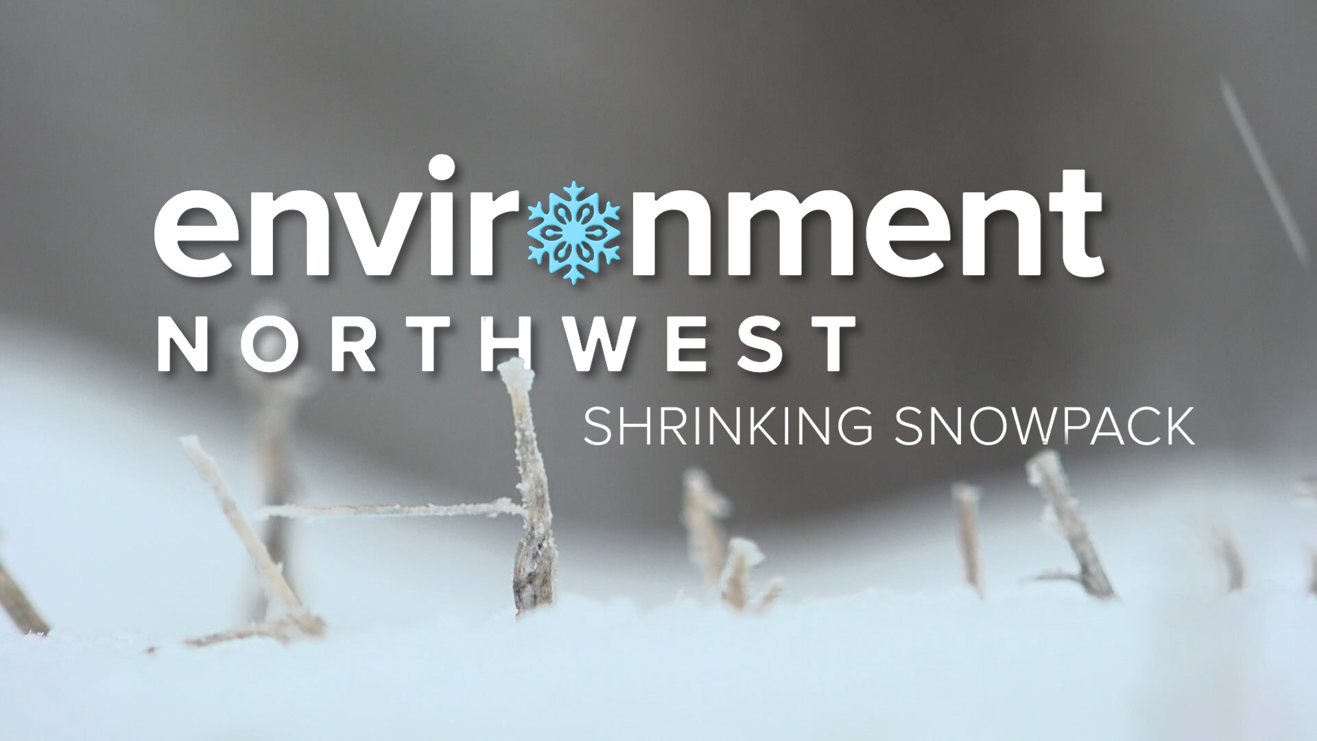 Snowpack around the Pacific Northwest has been shrinking, and it’s only getting worse. Our Environment Northwest team examines what it means for the future.