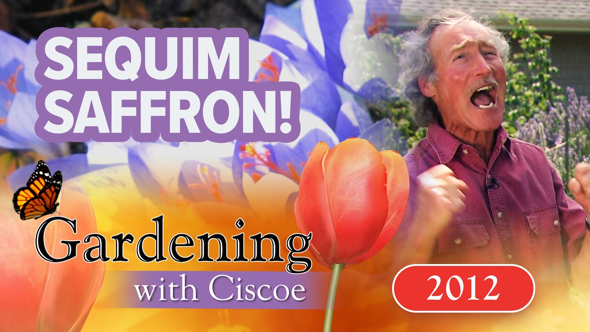 First aired 2012. Ciscoe & Meeghan visit a Sequim saffron farm and plant a fall salad garden. Chef fixes a stone fruit mousse. From Good Shepherd Center in Seattle.