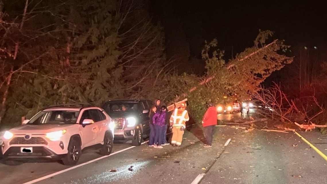 1 dead after tree falls on car near Issaquah king5