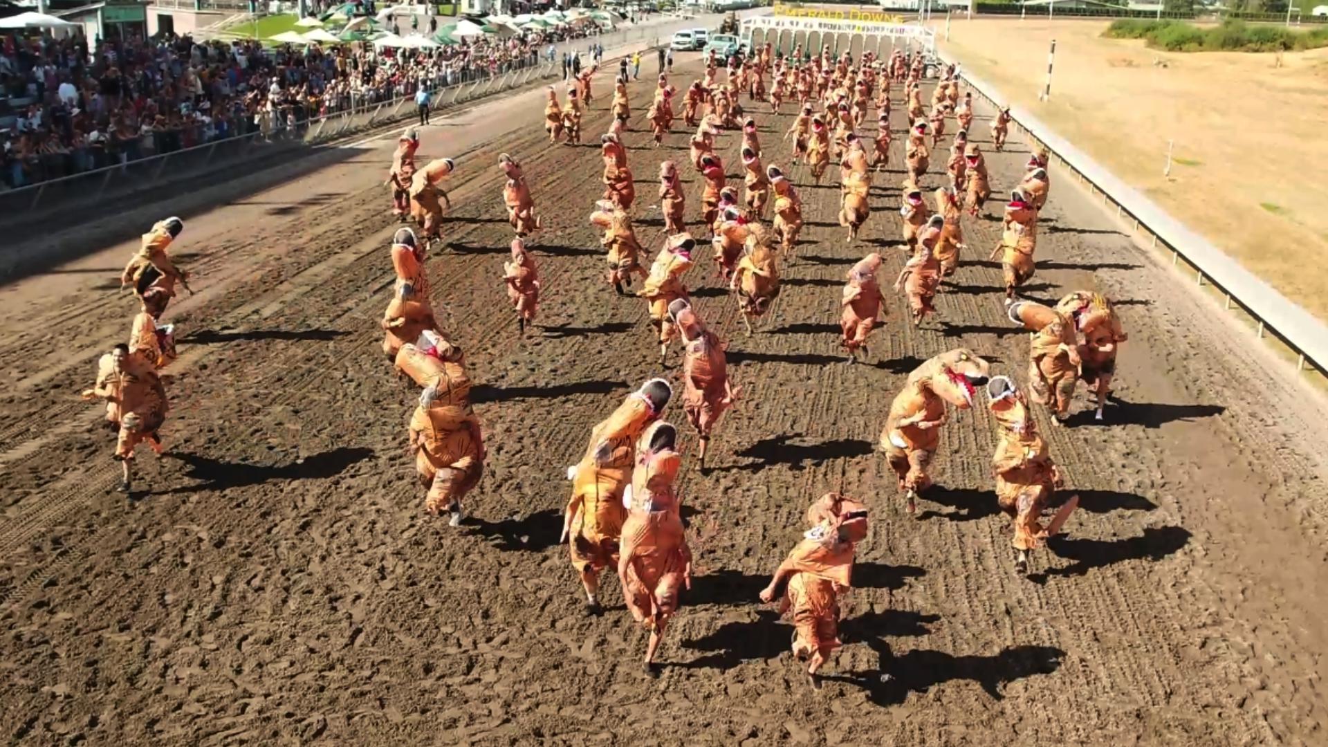 From T-Rexes to corgis to grandparents, Emerald Downs has a race for everything. #k5evening