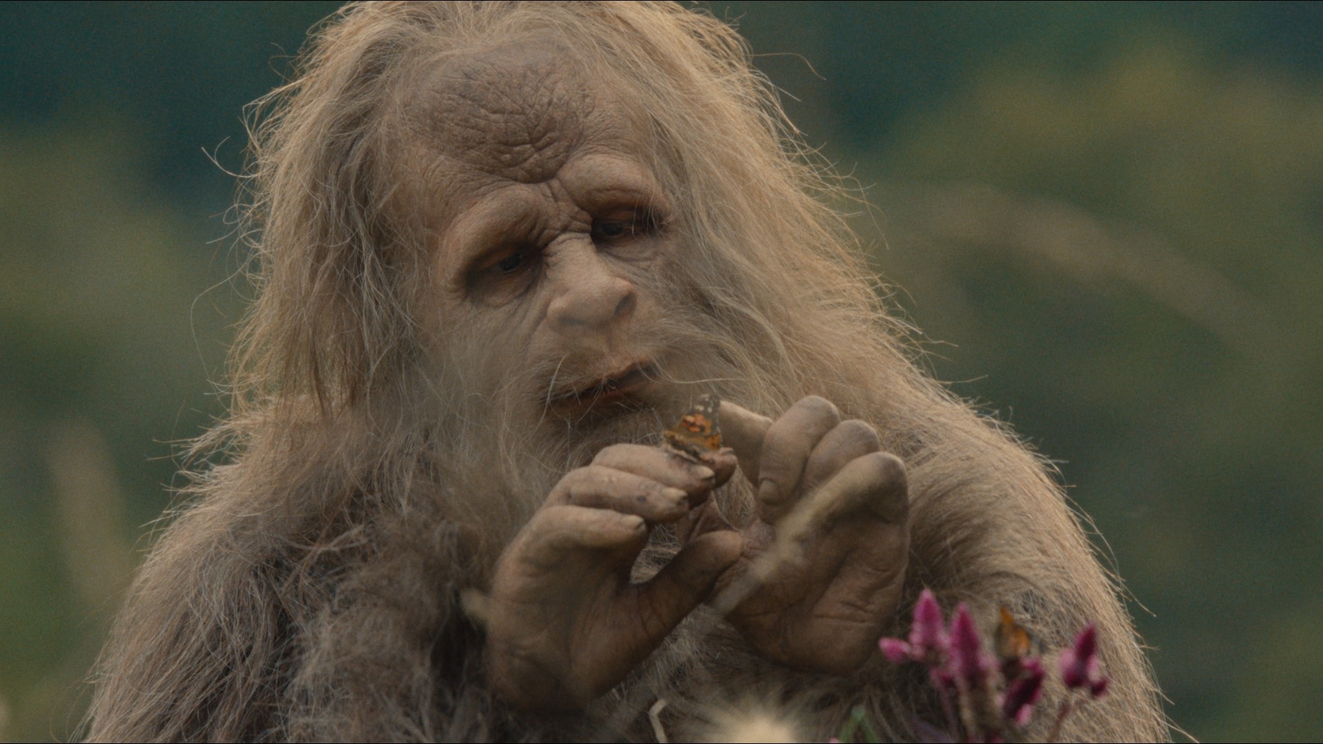 The R-rated, no-holds-barred film stars Jesse Eisenberg and Riley Keough as members of a Sasquatch pack. #k5evening