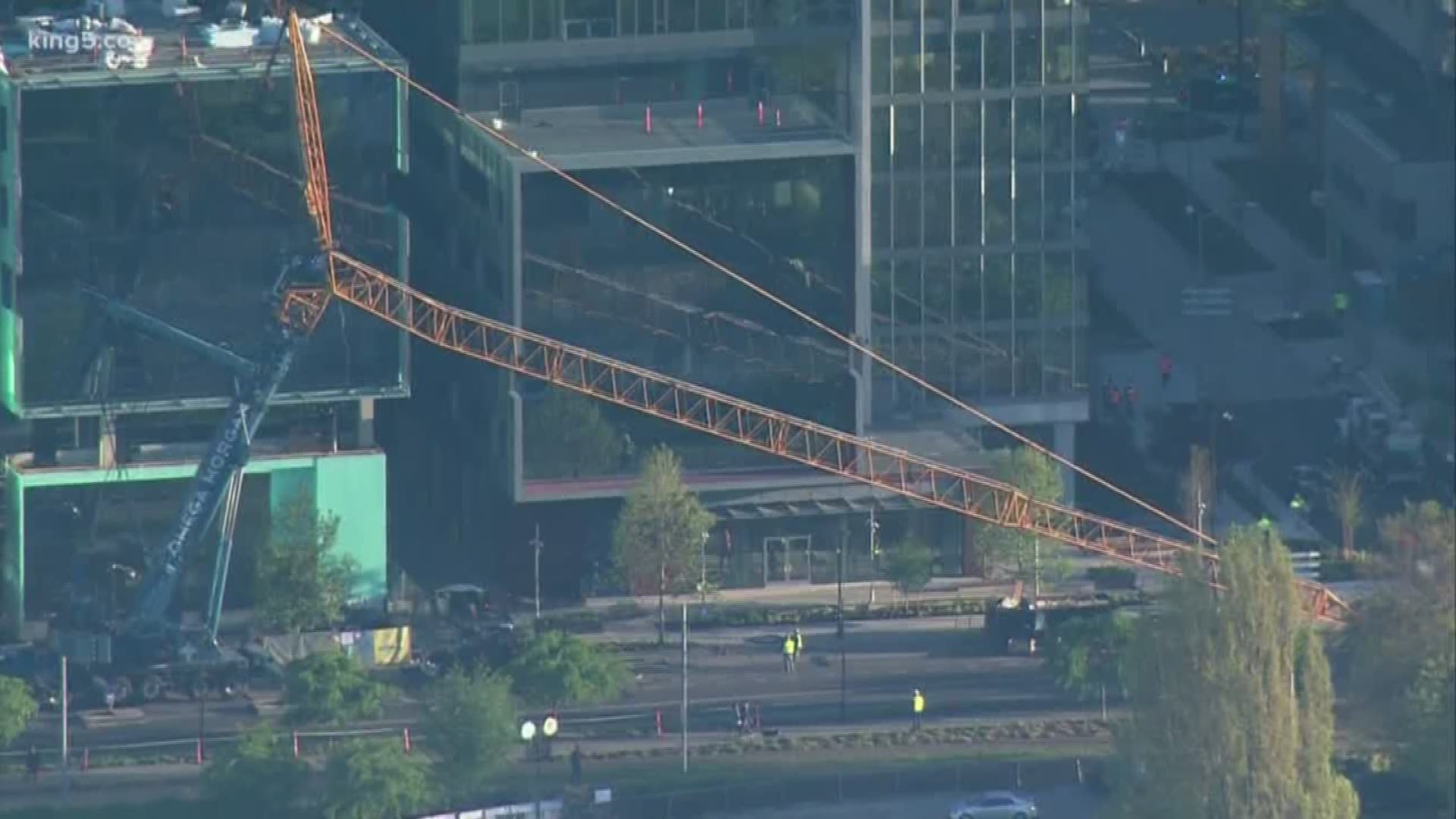Dozens of experts will be involved in the investigation into the deadly crane collapse.