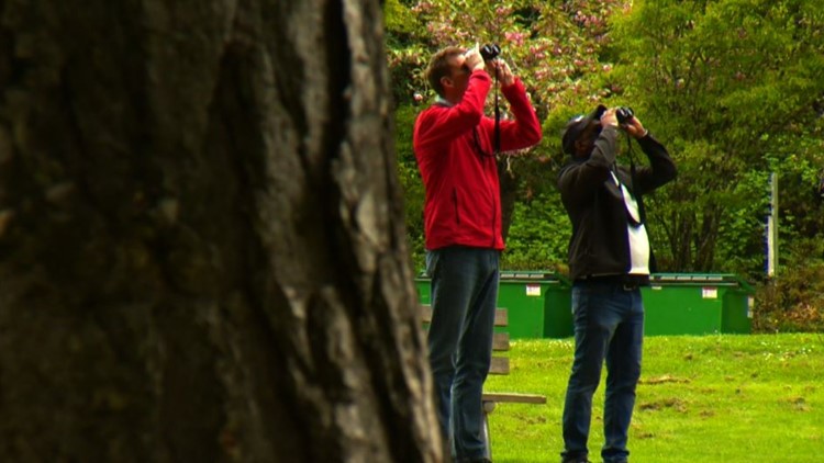 Bird watching is increasing in Washington. Here's why