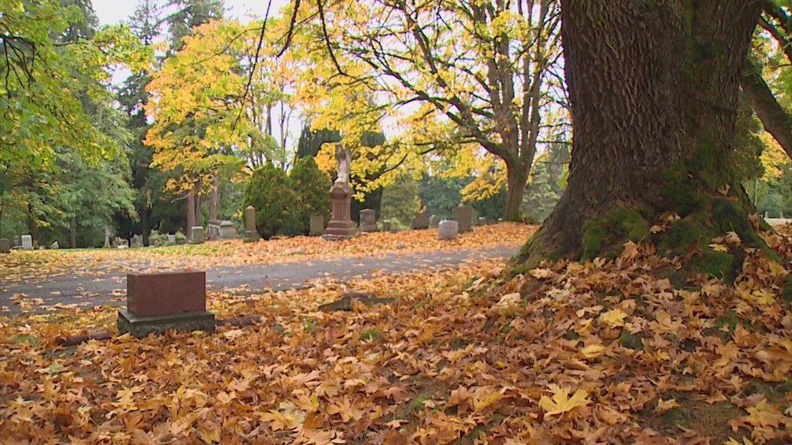 Price of casket burials for Bellingham residents up more than 50%, even higher for out-of-towners - Vimarsana News