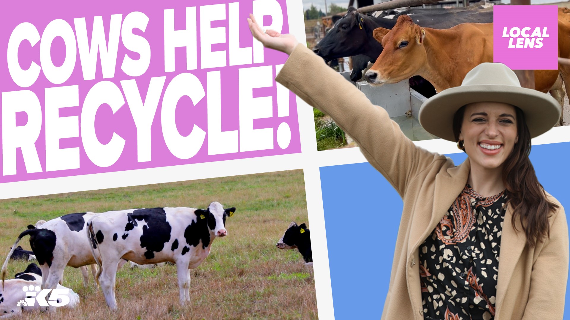 Learning about sustainability on a dairy farm! - Local Lens Seattle