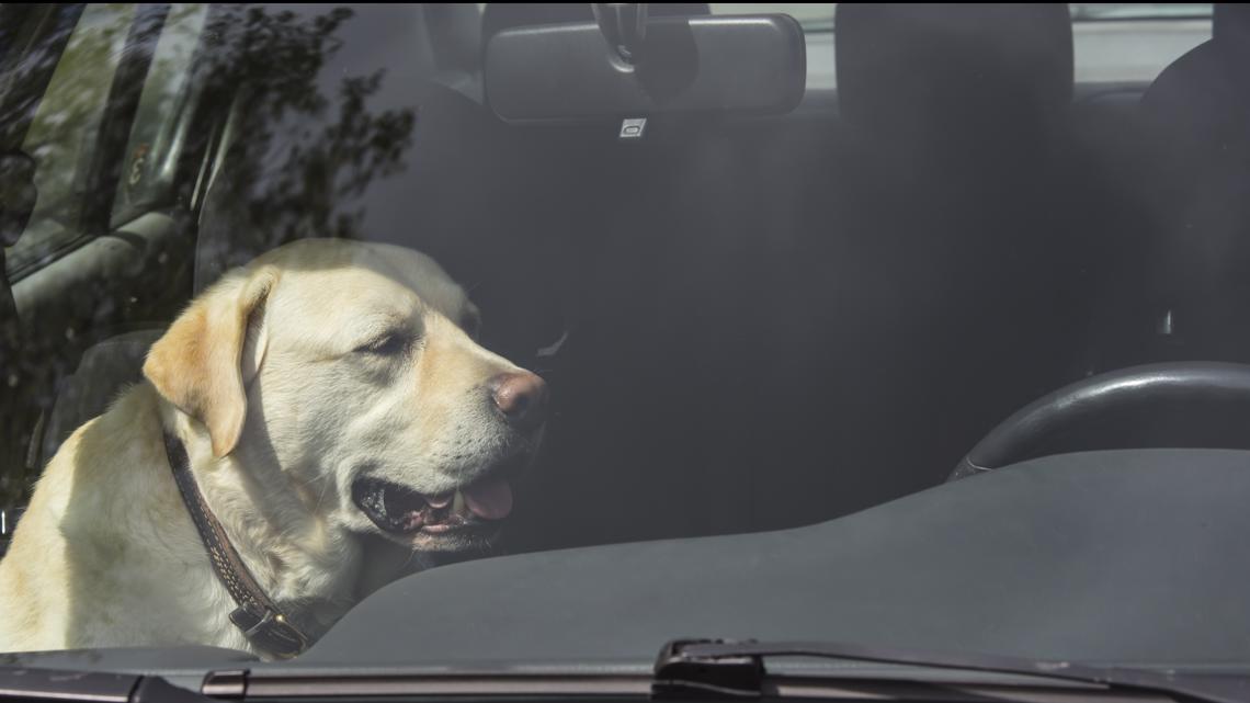 Here's how rapidly your car heats up in the sun