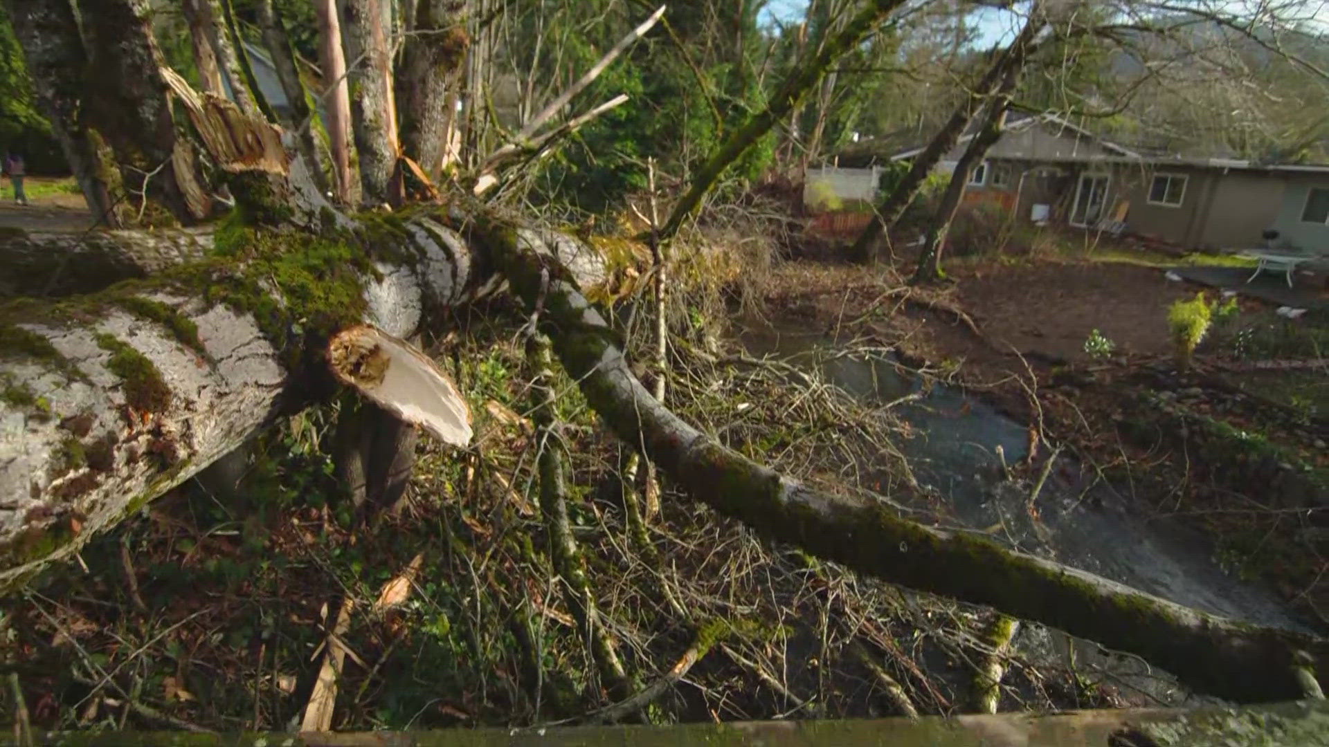 Puget Sound Energy warned customers to be ready for a multi-day power outage after a windstorm ripped through western Washington. 