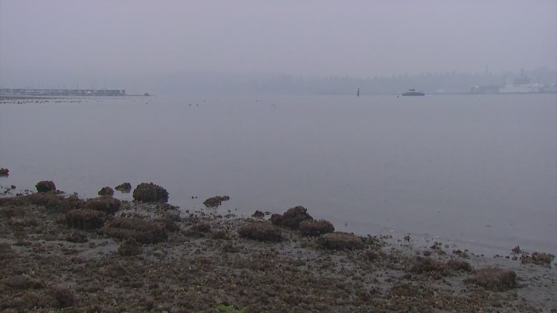 Some ferry routes are being impacted by the tides.