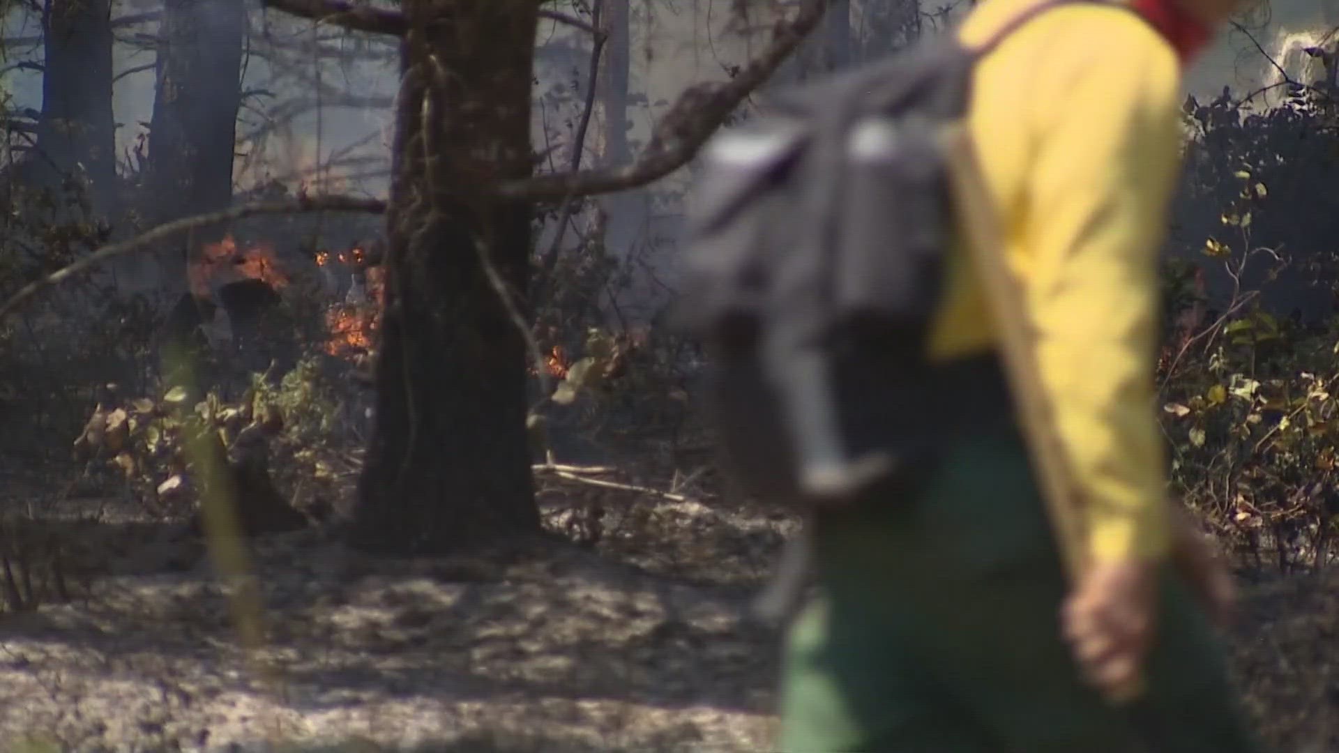 The brush fire burned an estimated 250-plus acres in Mason County on July 4.