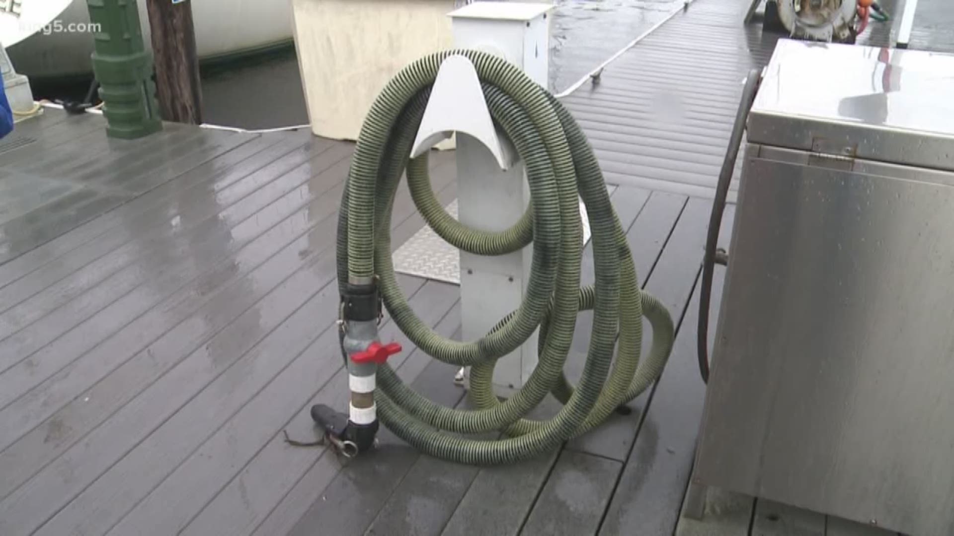 Tug boat companies are suing the EPA to stop a Washington state ruling that bans the dumping of raw sewage in Puget Sound area waterways. Now, several environmental activism groups are getting involved in the legal fight. KING 5's Alison Morrow reports