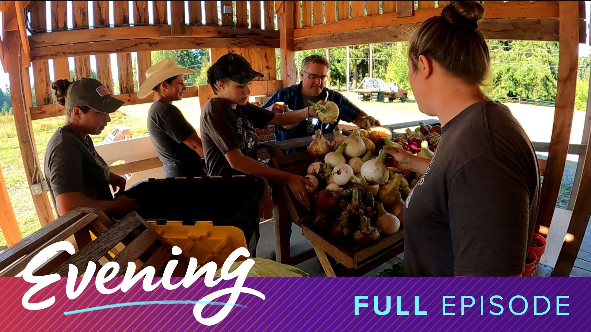 Seattle’s new Hatback Bar and Grille and the next generation of