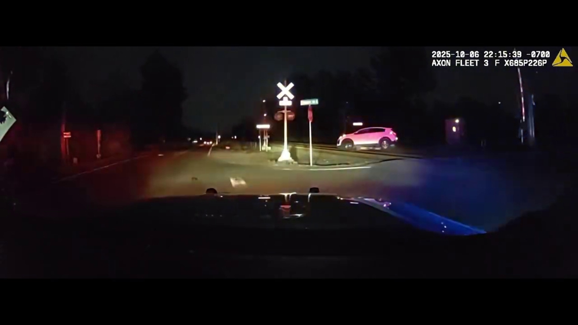 21-year-old, three juveniles arrested after stolen car pursuit in ...