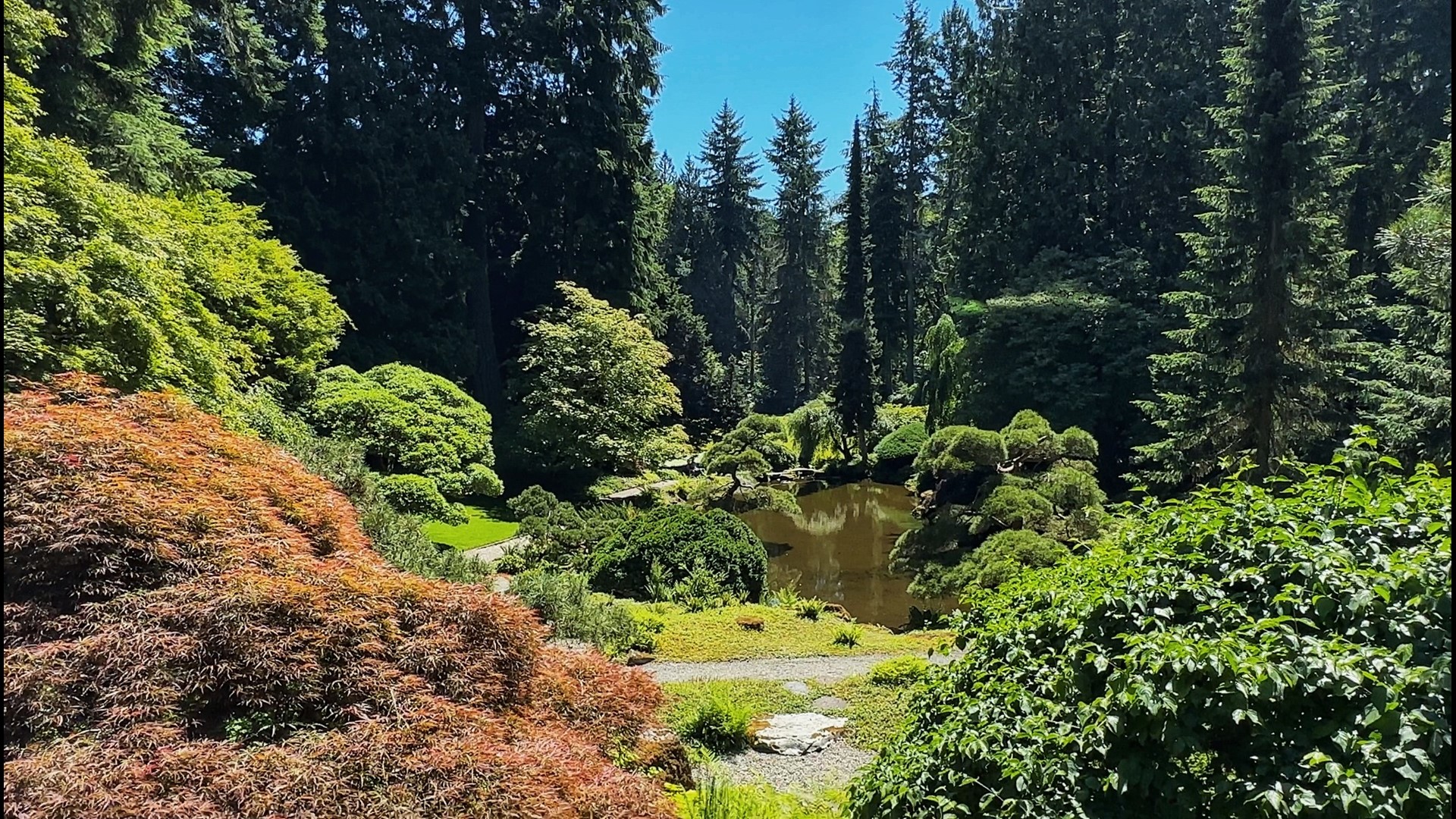 Bloedel Reserve on Bainbridge Island is 140 acres of native forest and cultivated gardens on Bainbridge Island.