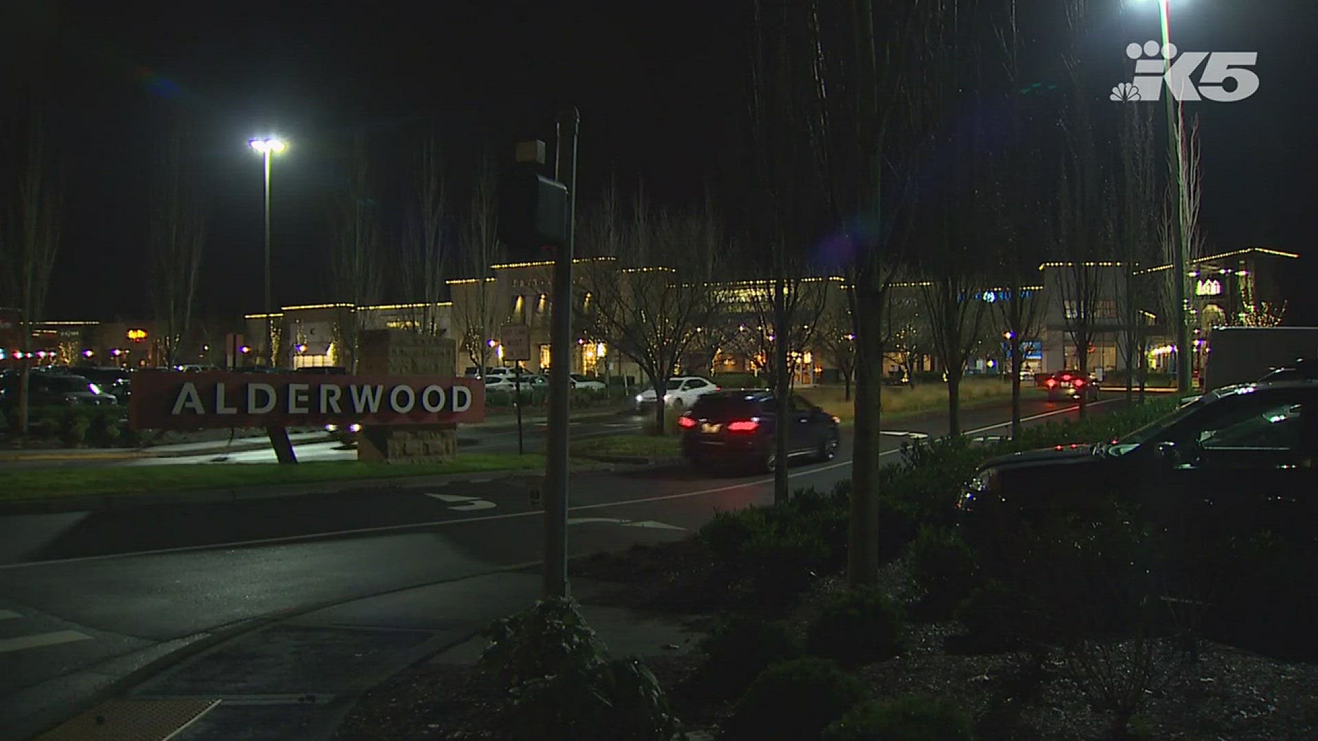 Jewelry store 'smash and grab' robbery at Alderwood Mall