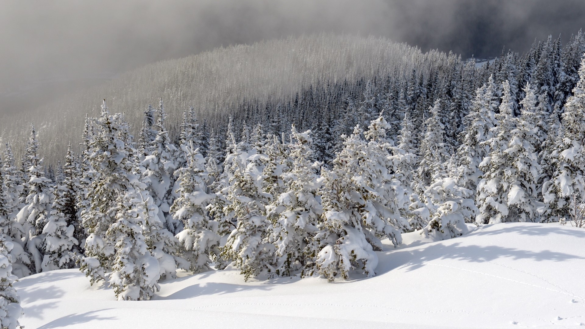 ​The warning officially starts at 4 a.m. on Tuesday and continues until 10 a.m. Wednesday for all mountains in western Washington above 2,000 feet.