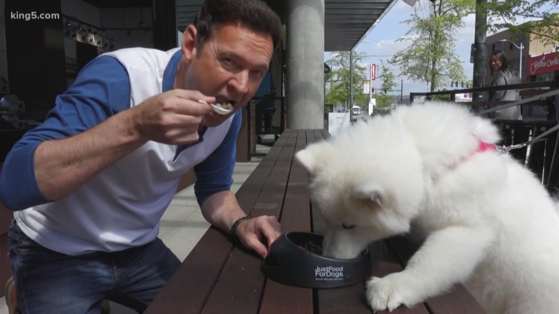 Seattle has a new option for delicious, fresh food. It's for dogs, but you could eat it too.