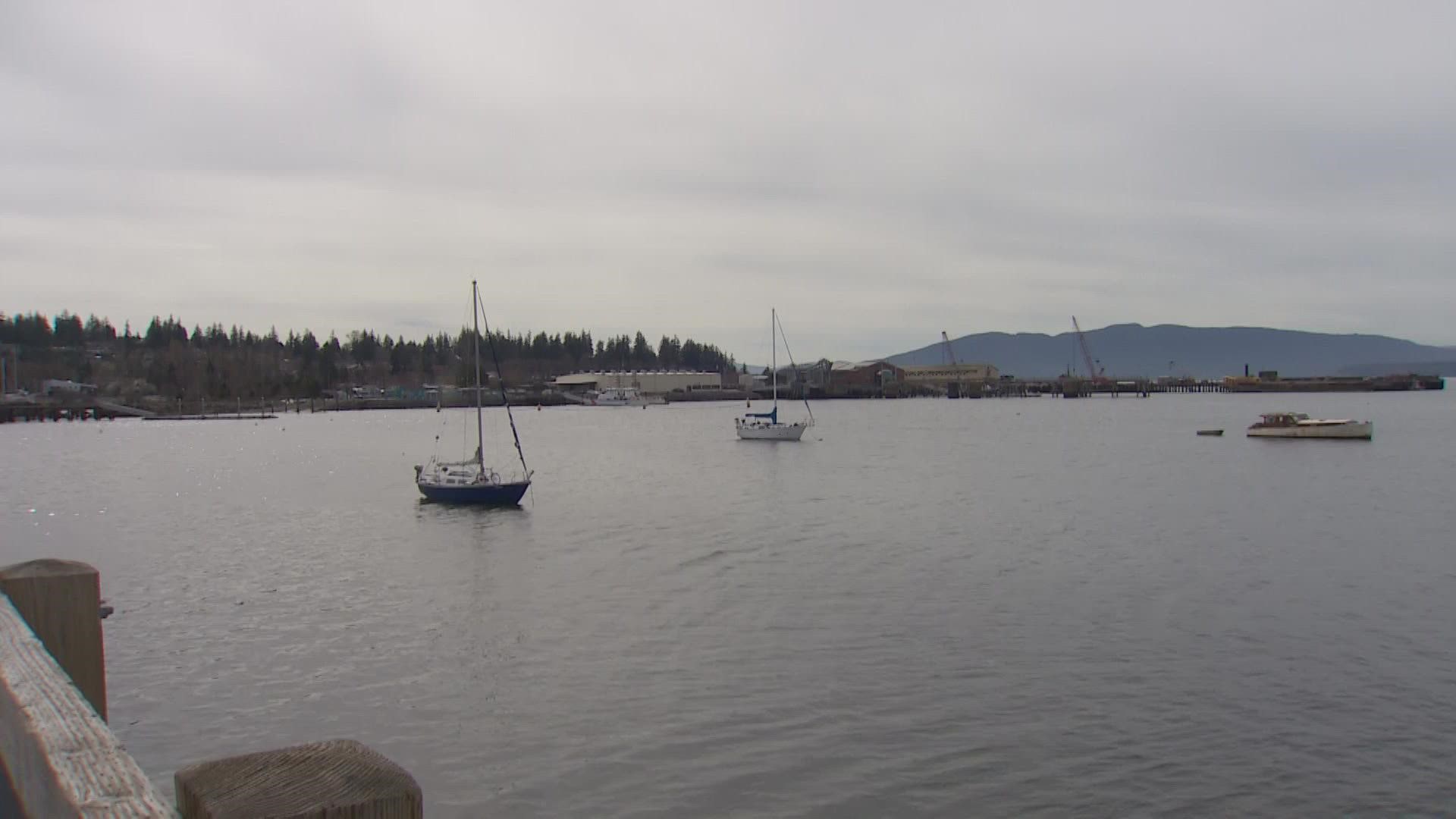 The Pacific Whale Watch Association confirmed multiple sightings of a humpback whale just 20 yards from shore in Bellingham Bay.