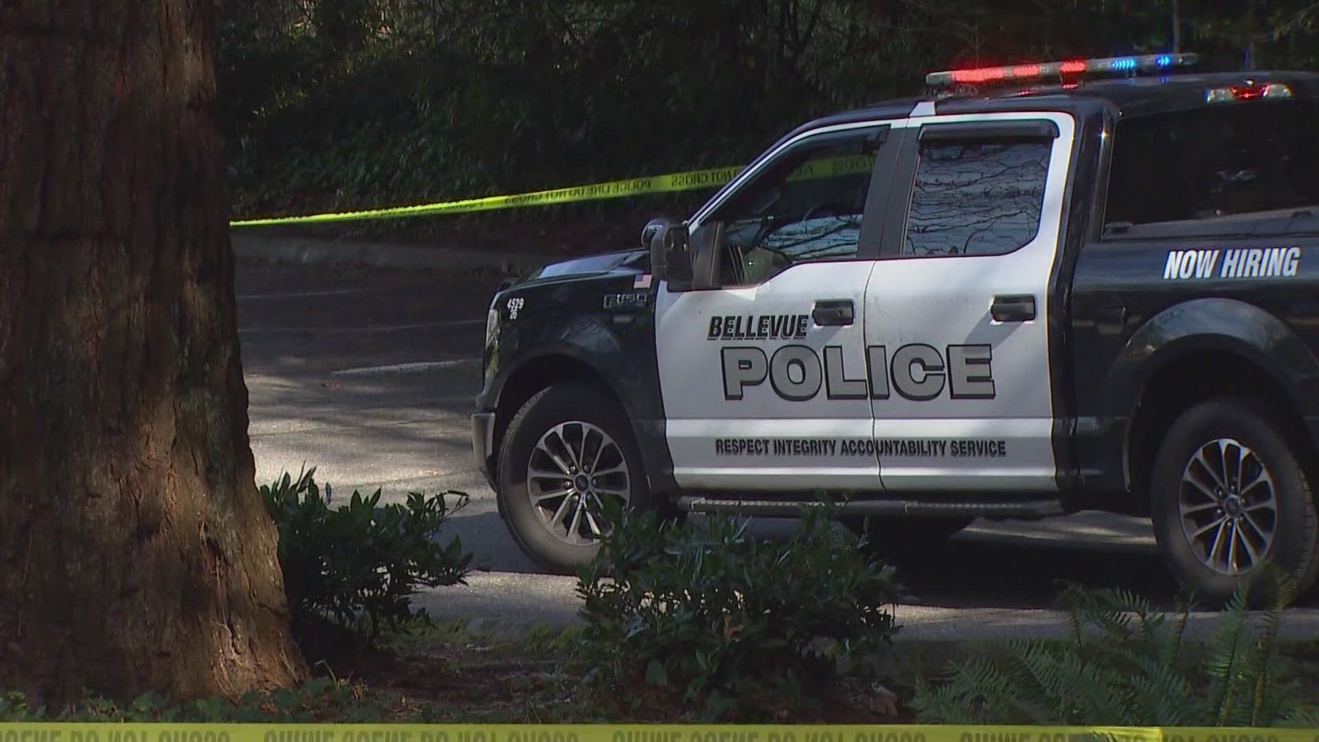 Coverage image for: Suspect sought after shooting in Bellevue business parking lot